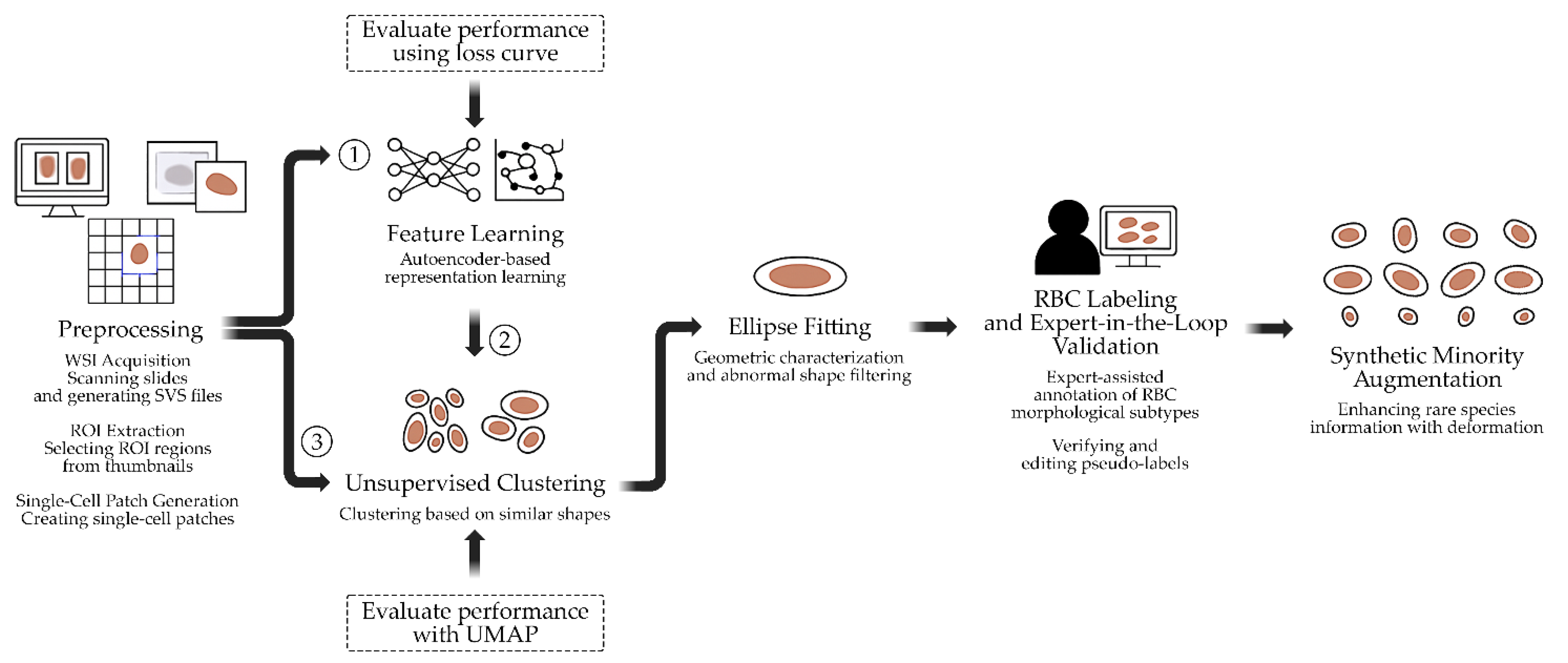 Preprints 171559 g001