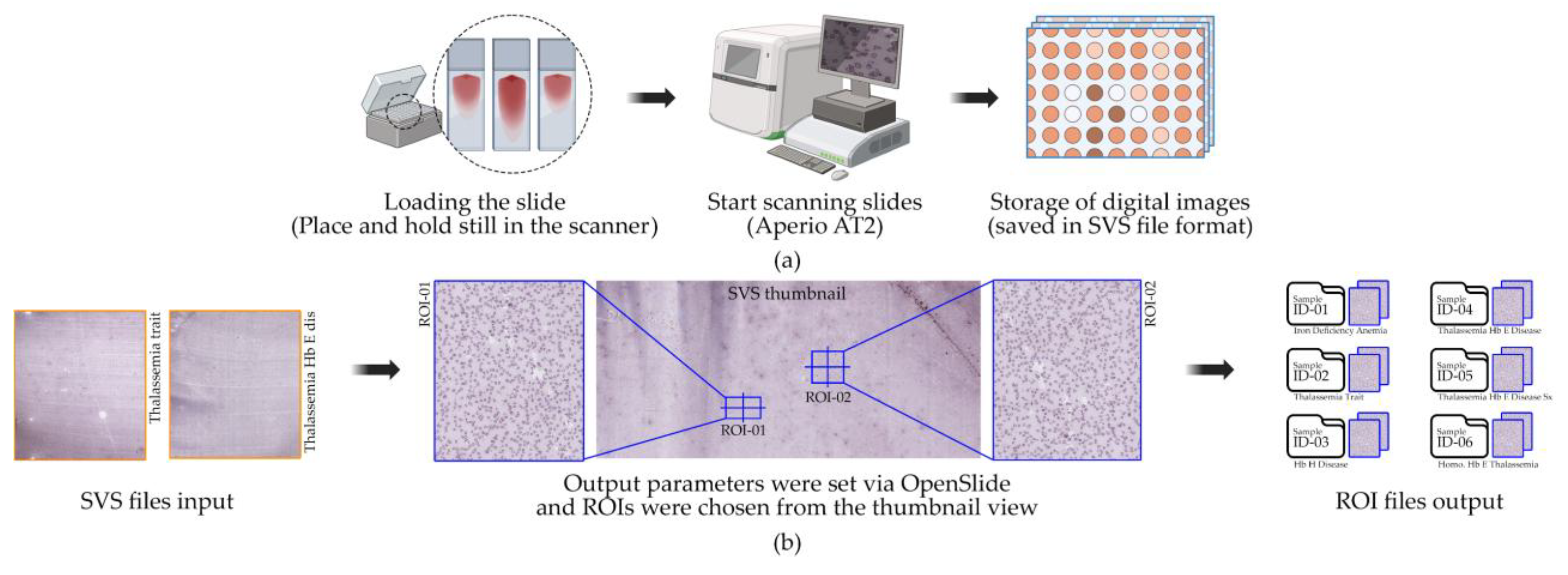 Preprints 171559 g002