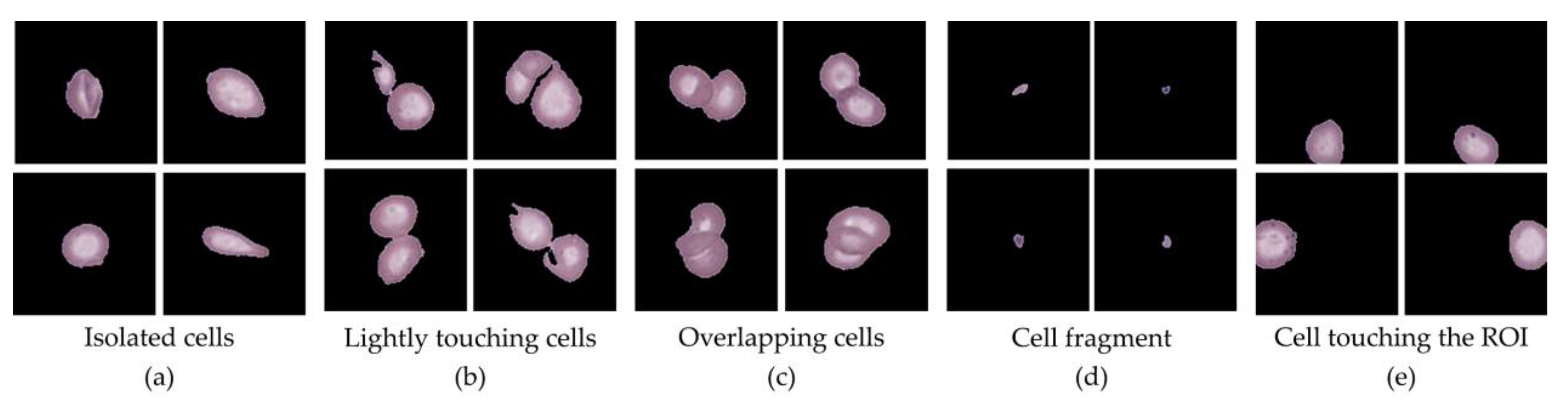 Preprints 171559 g005