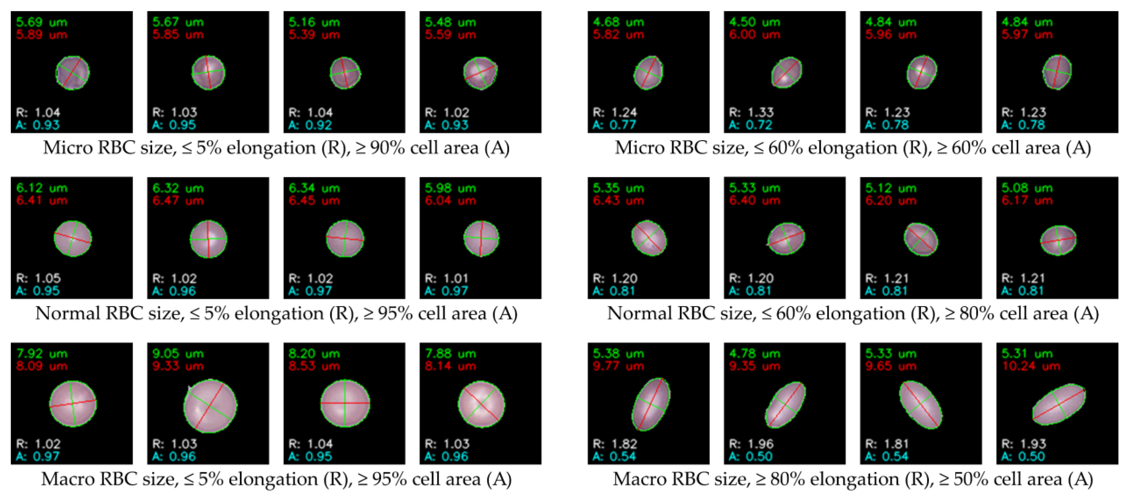 Preprints 171559 g008