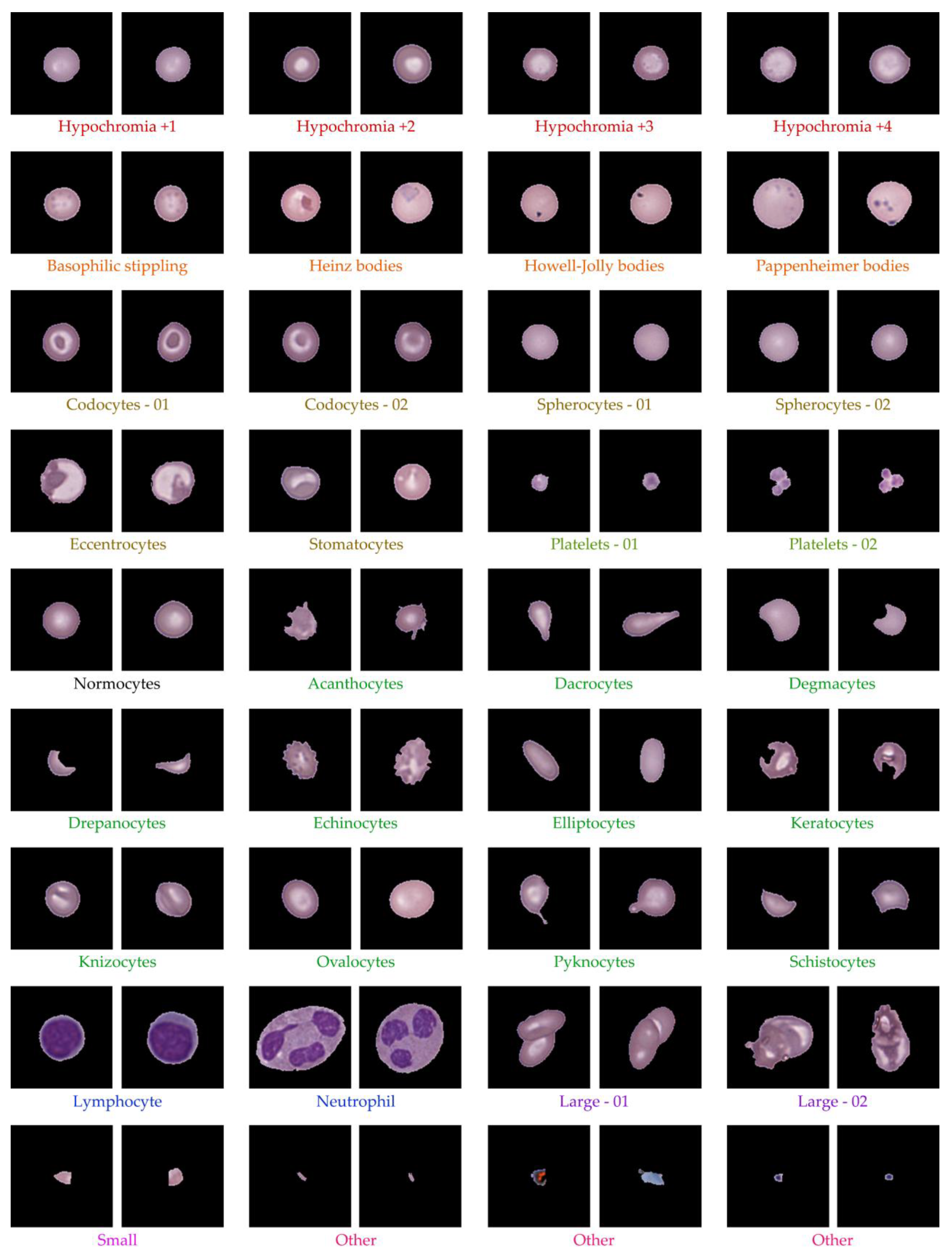Preprints 171559 g009