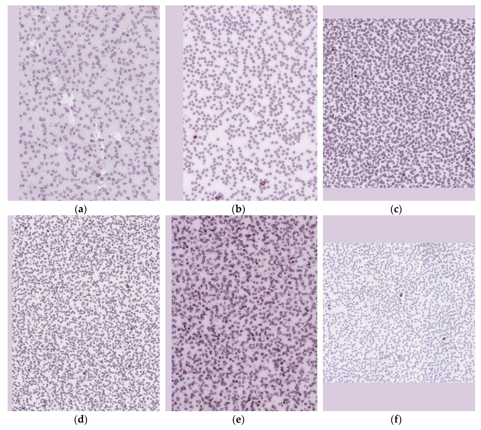 Preprints 171559 g0a2