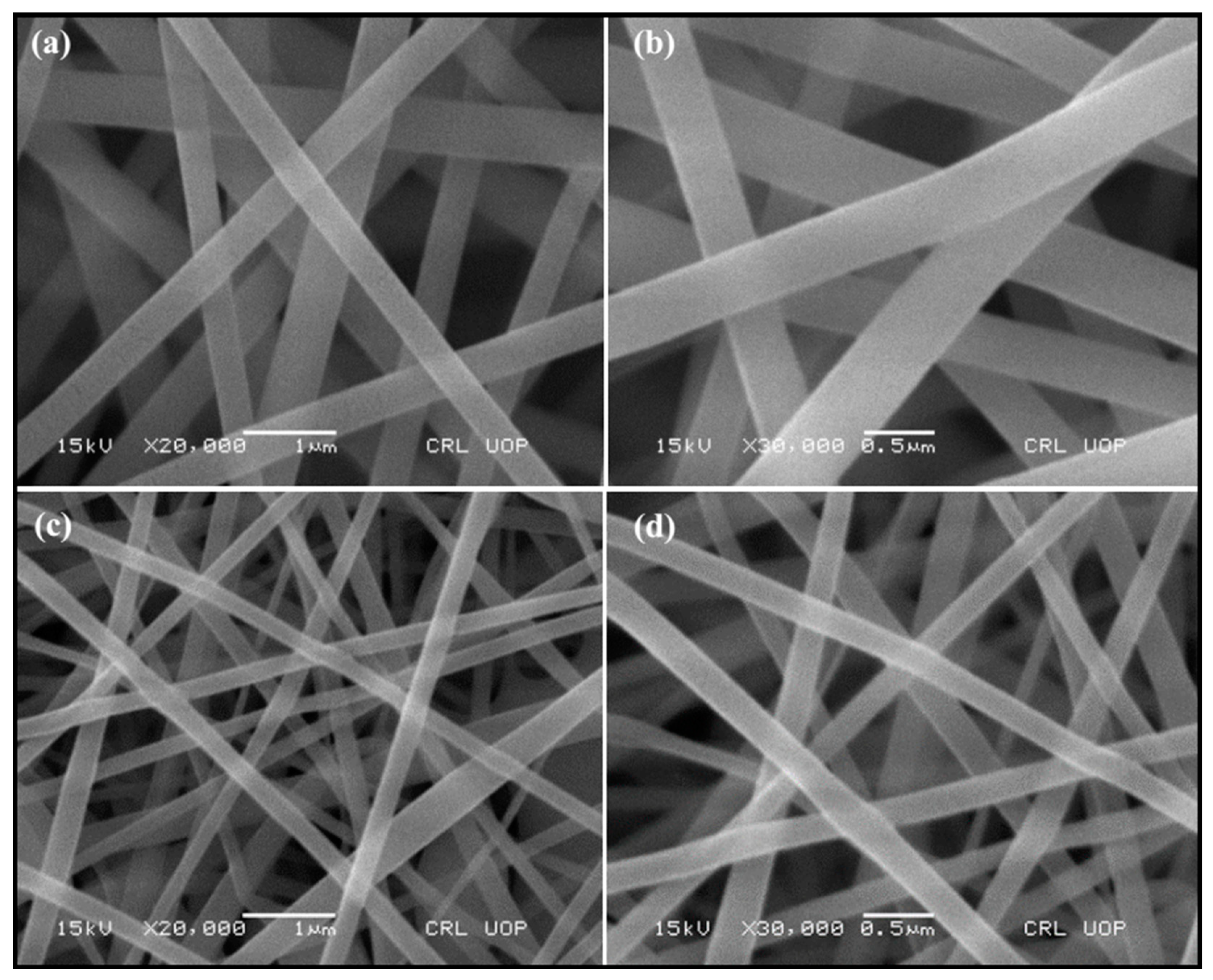Preprints 88209 g001