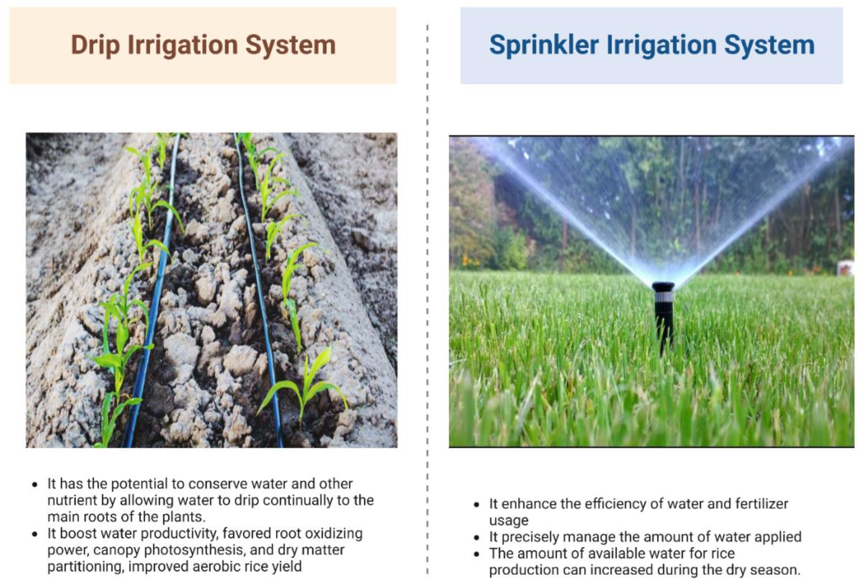 Preprints 80973 g003