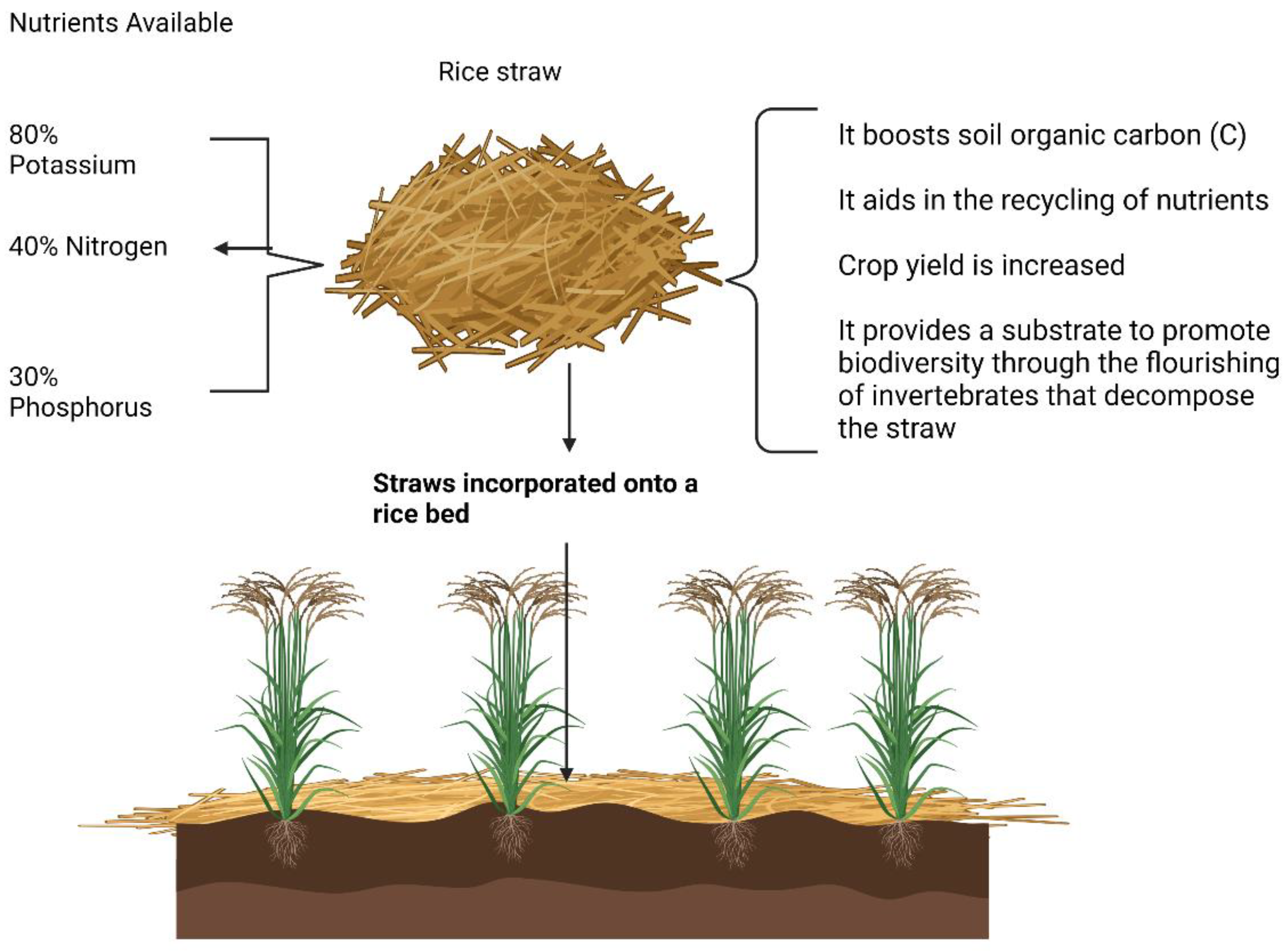 Preprints 80973 g004