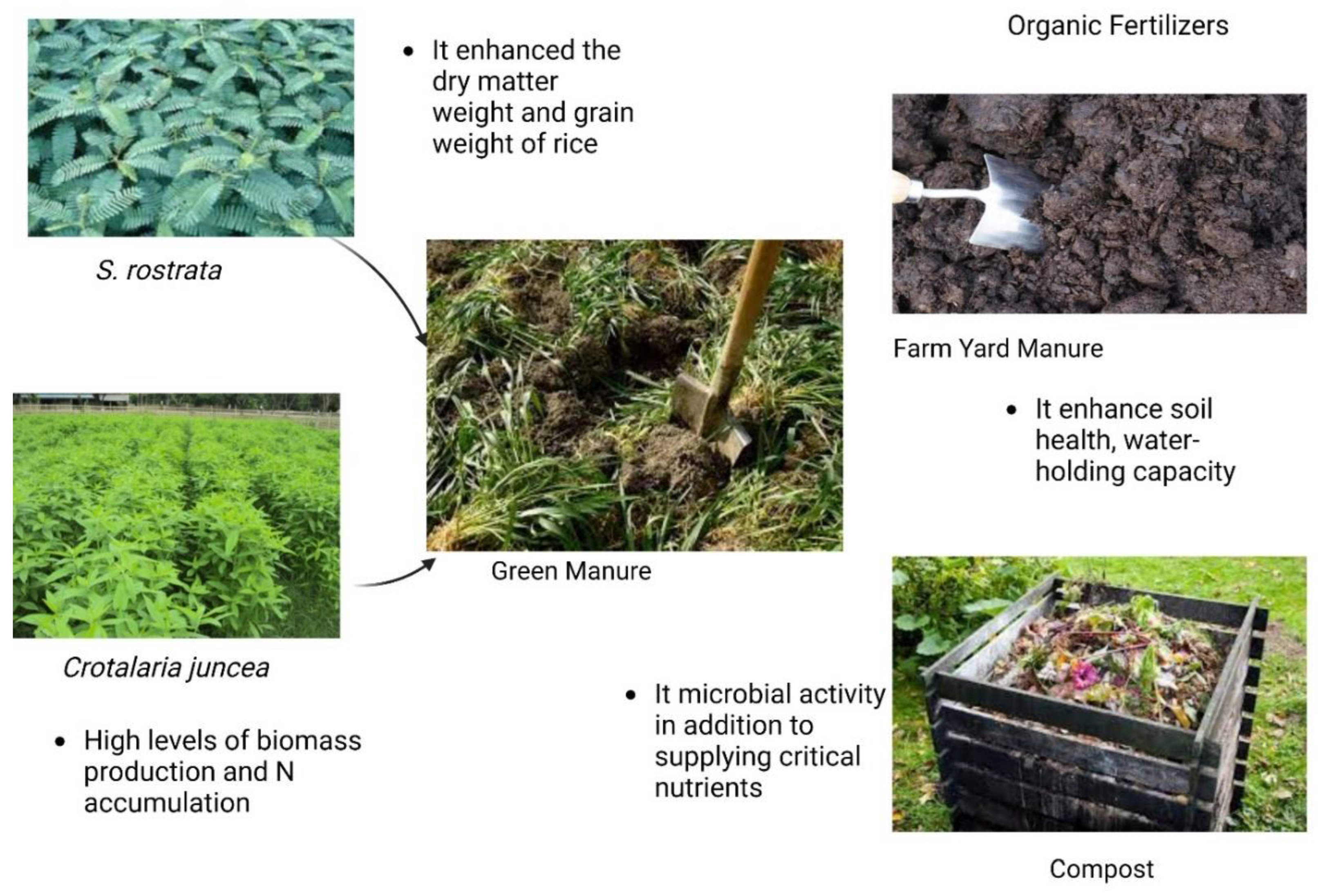 Preprints 80973 g007