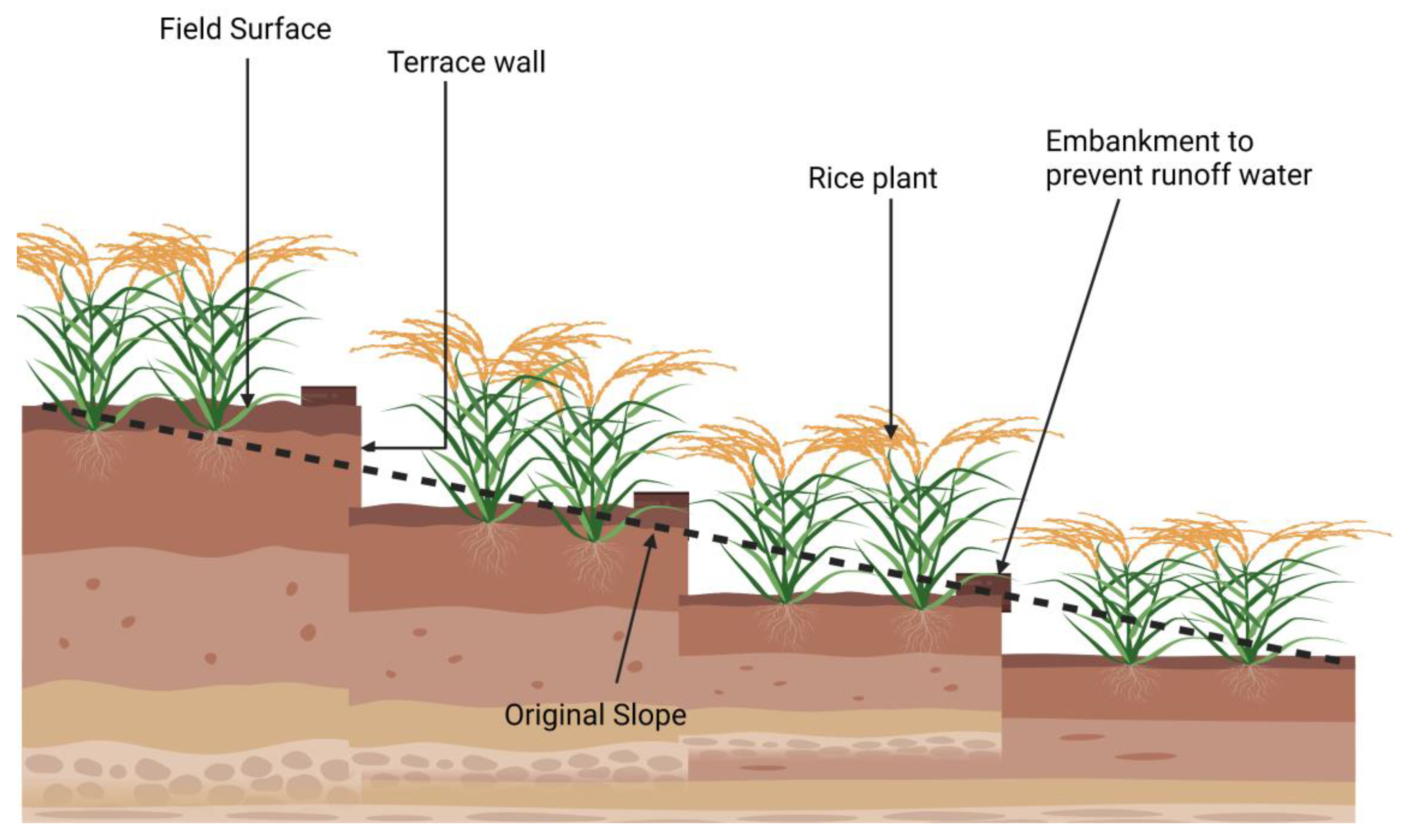 Preprints 80973 g008