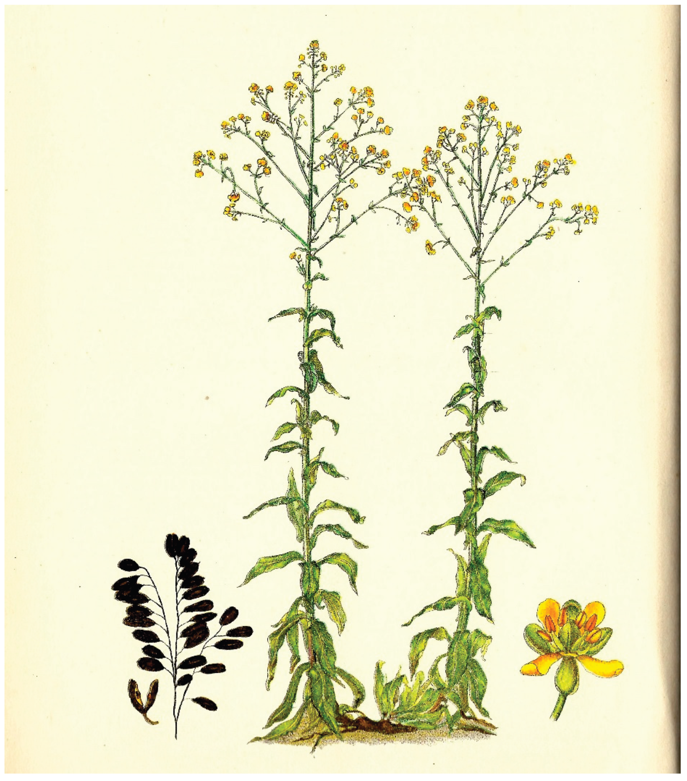 Preprints 207696 g001