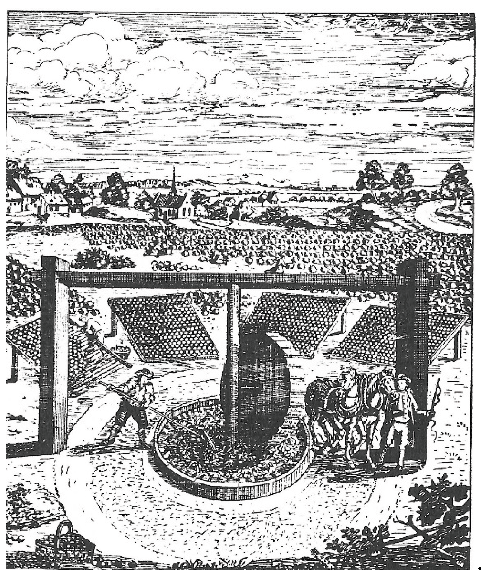 Preprints 207696 g003