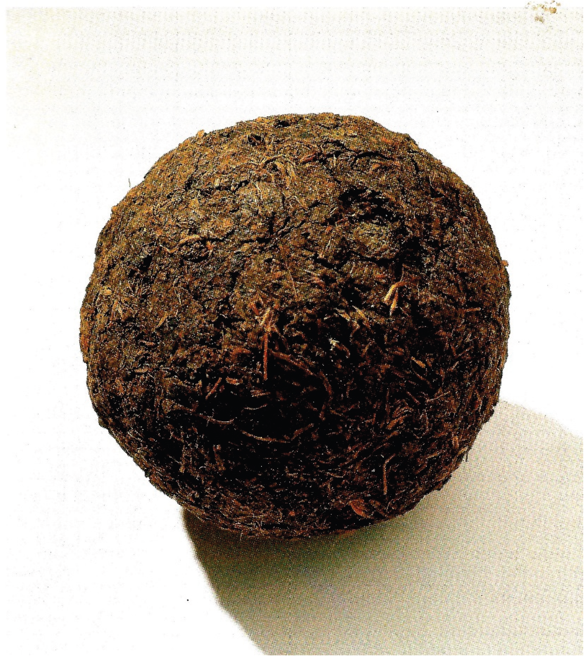 Preprints 207696 g006