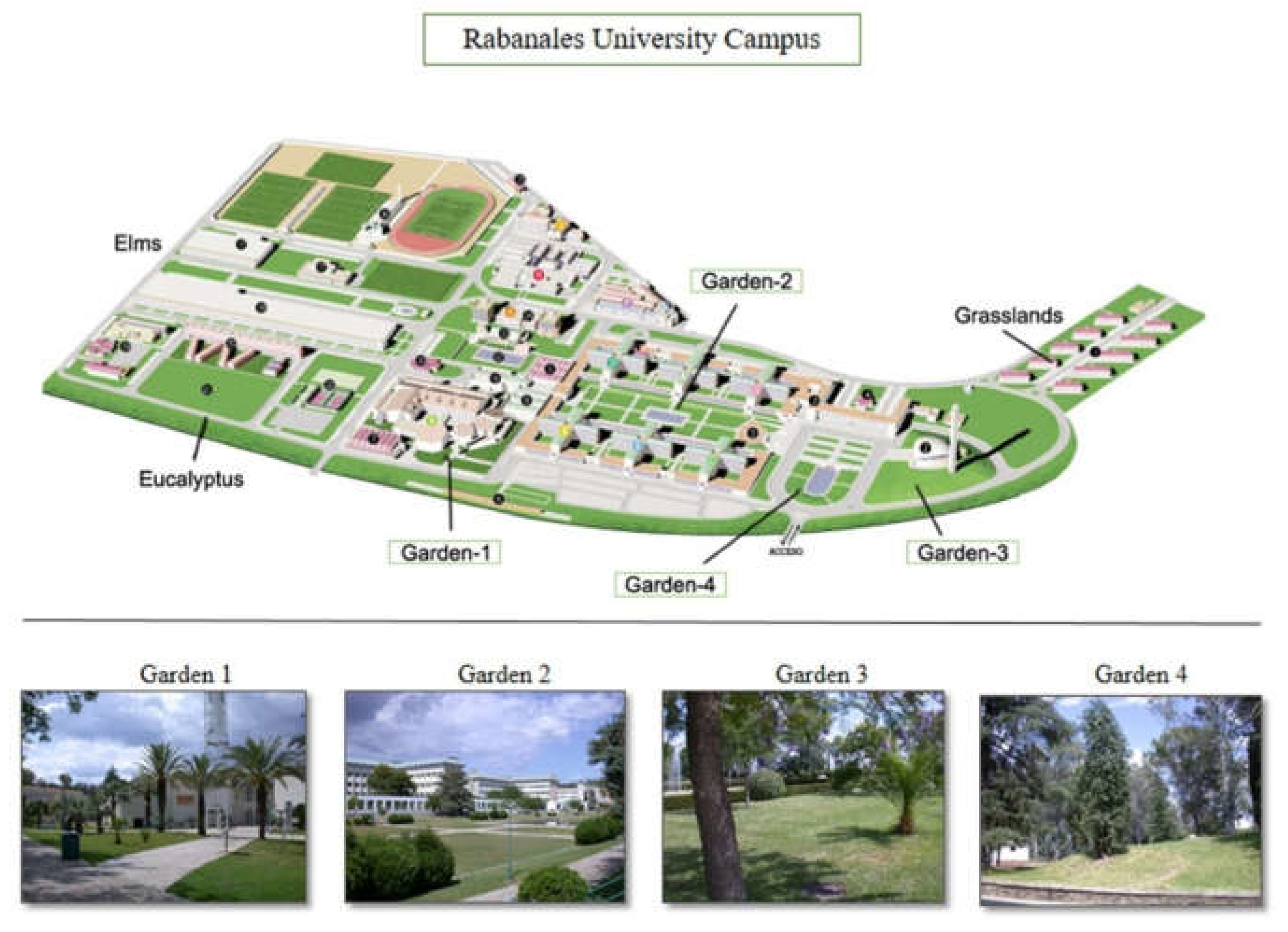 Preprints 144714 g001