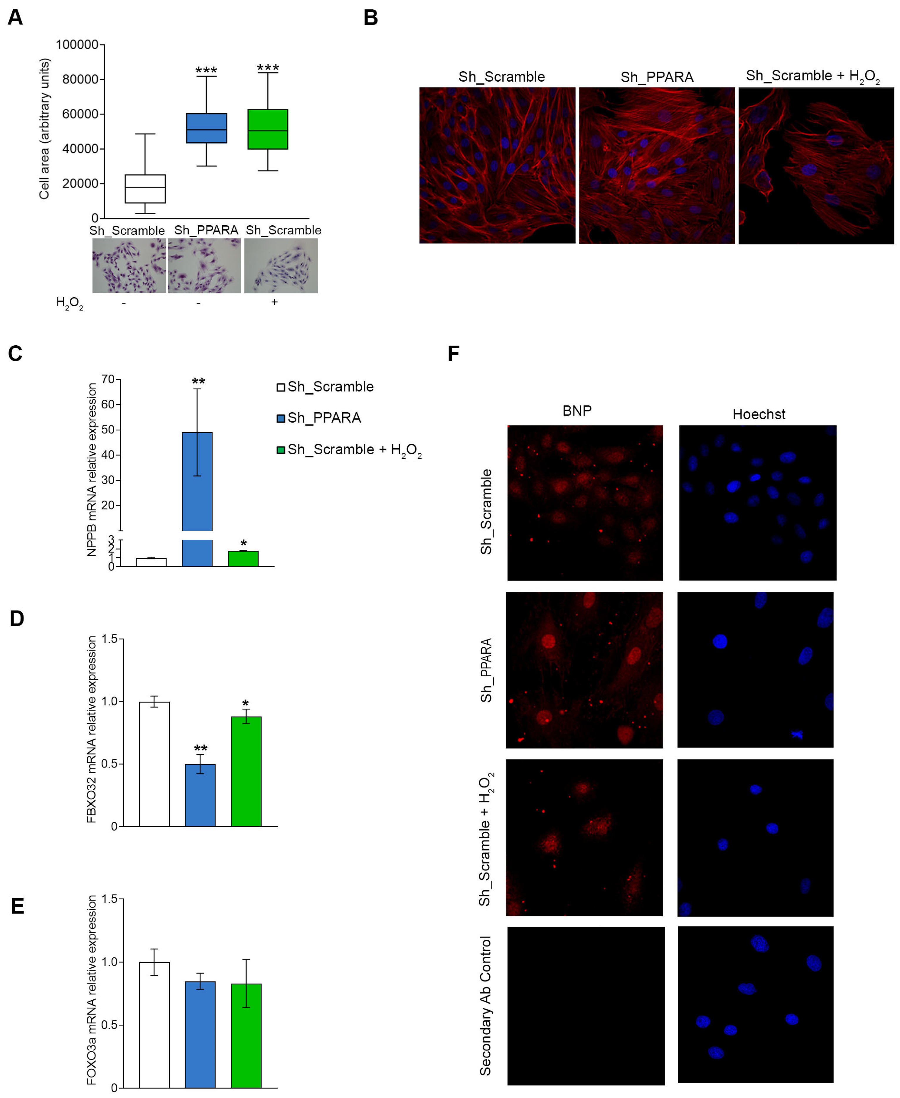 Preprints 171245 g002