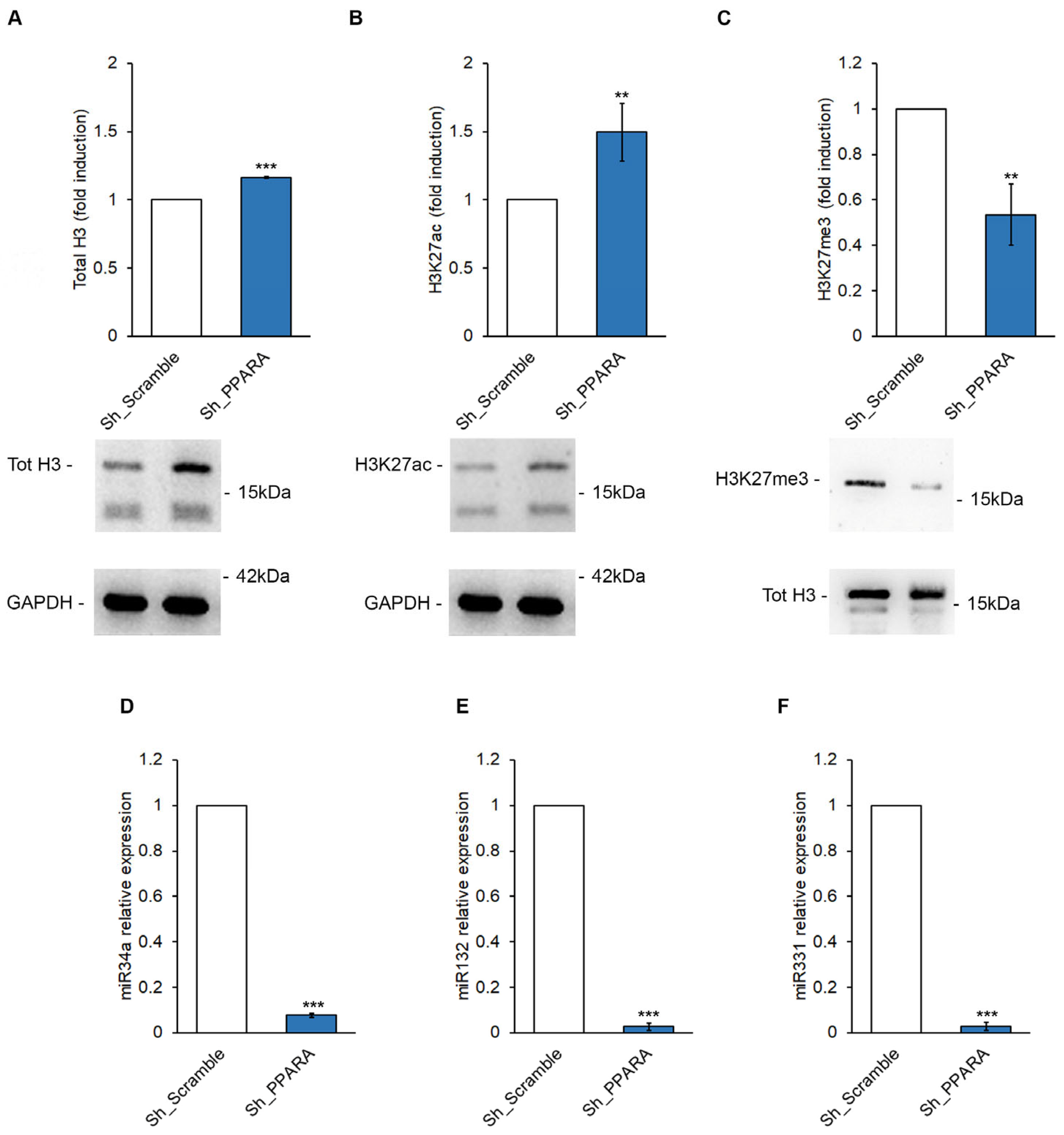 Preprints 171245 g004