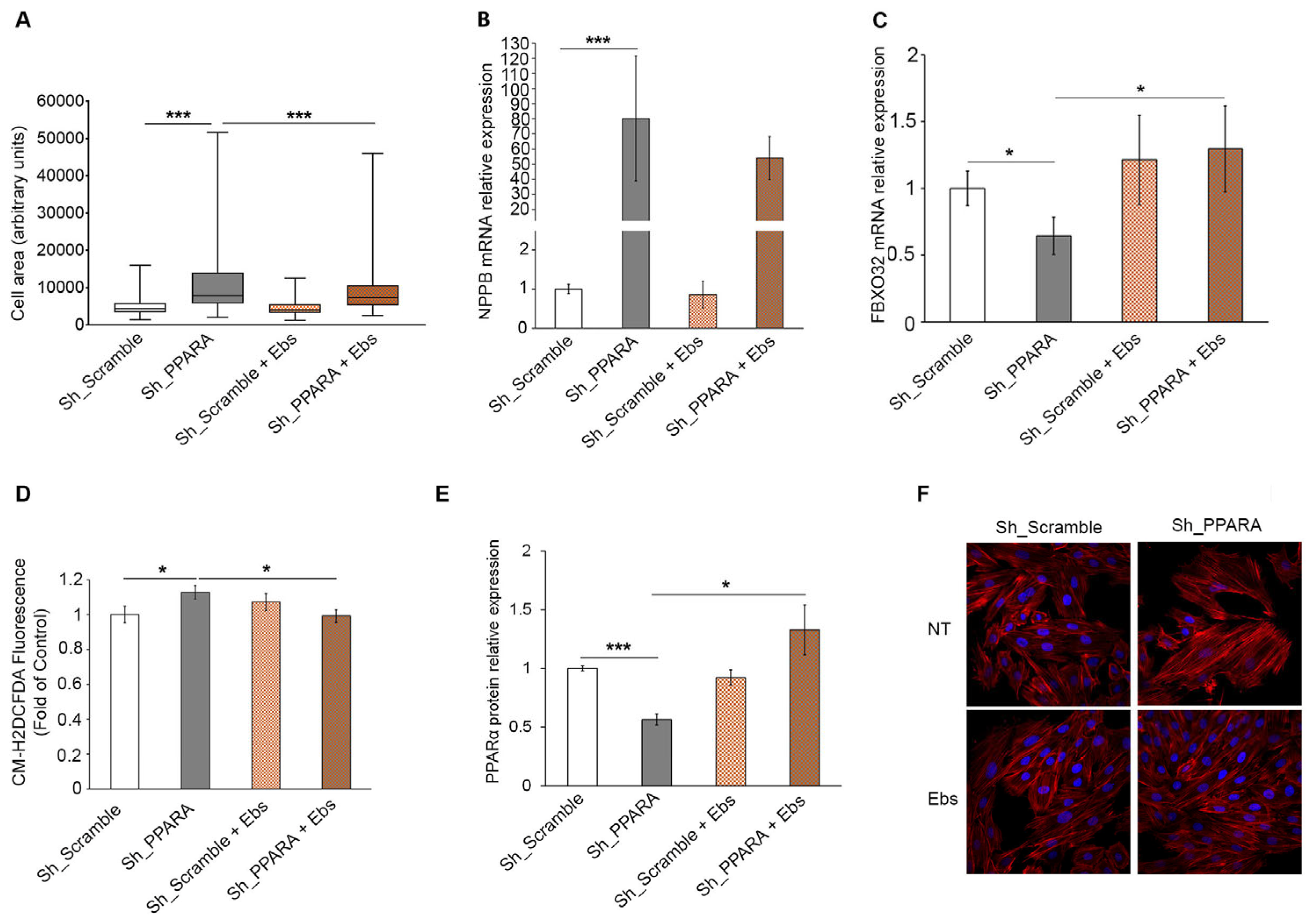 Preprints 171245 g005