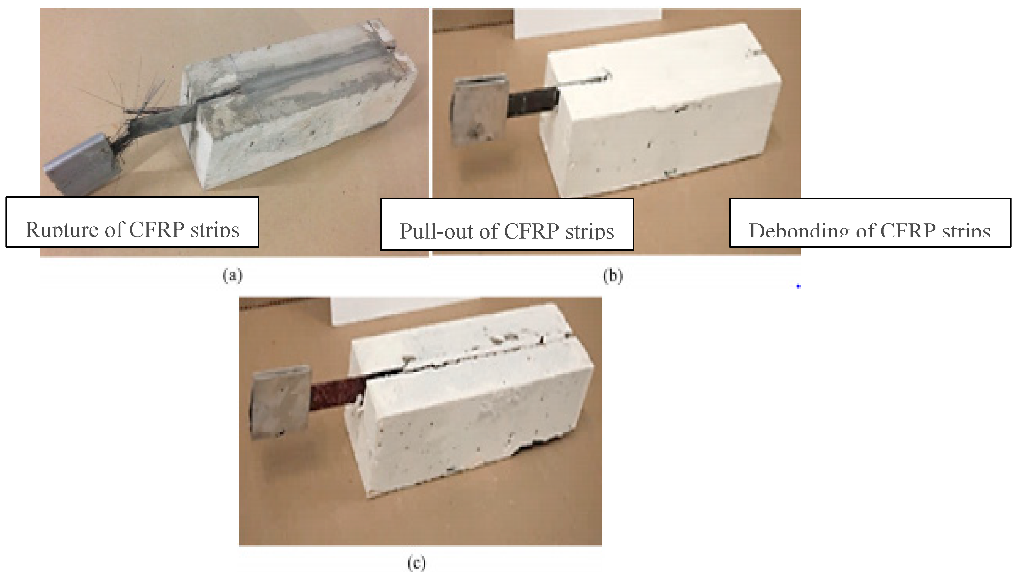 Preprints 187317 g001