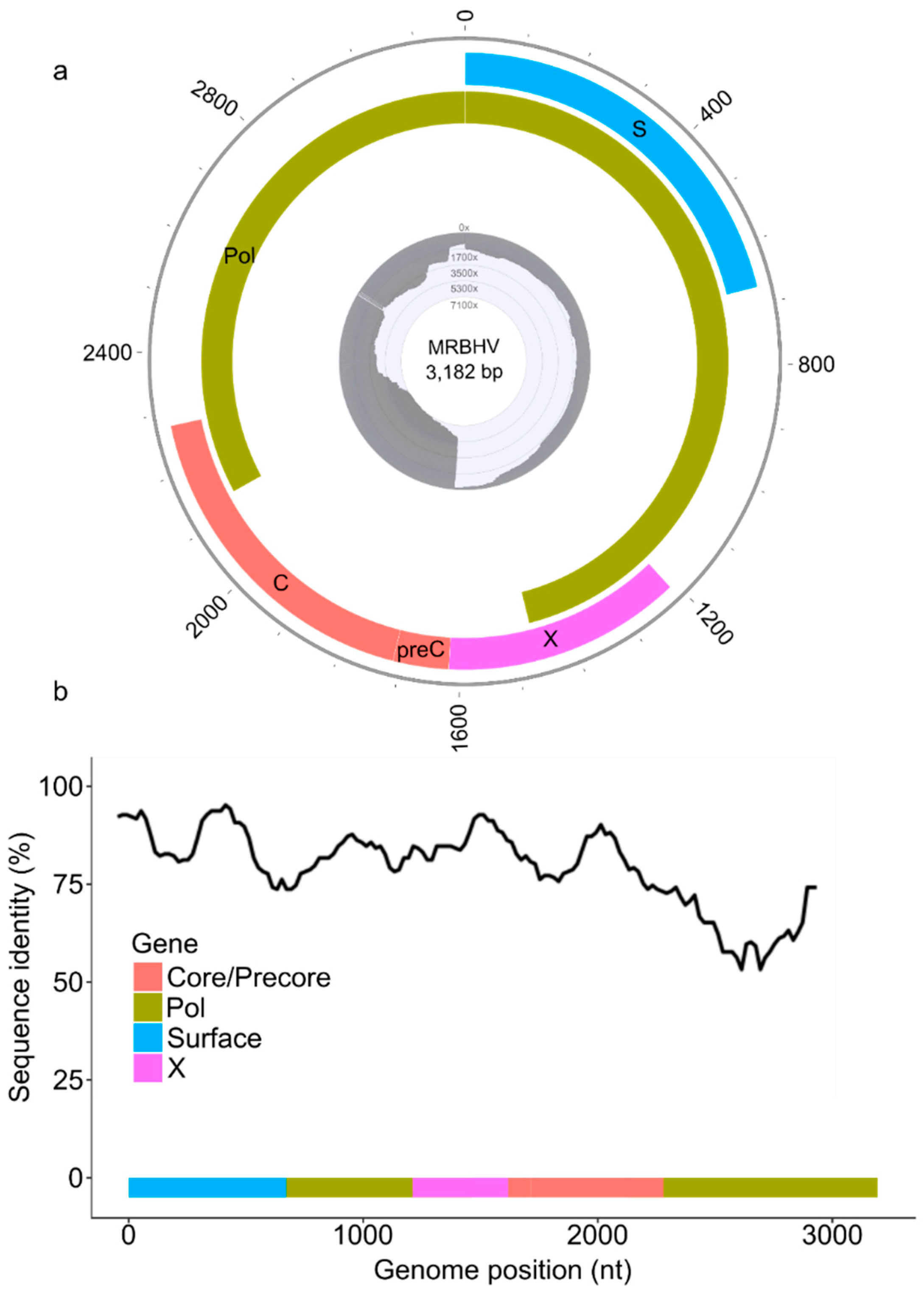 Preprints 204630 g001 Preprints 204630 g001