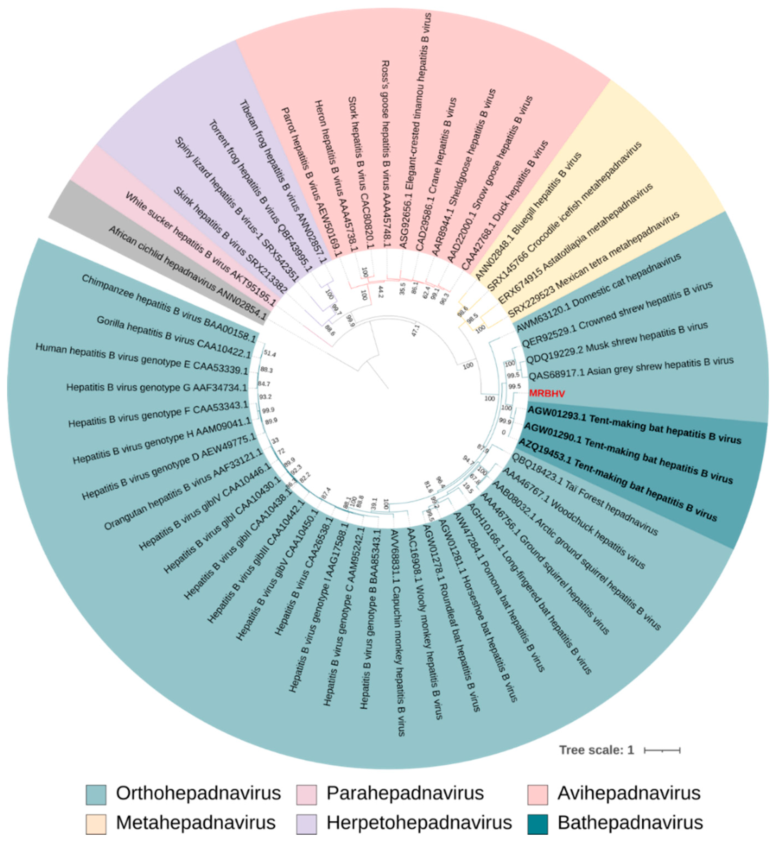 Preprints 204630 g002 Preprints 204630 g002