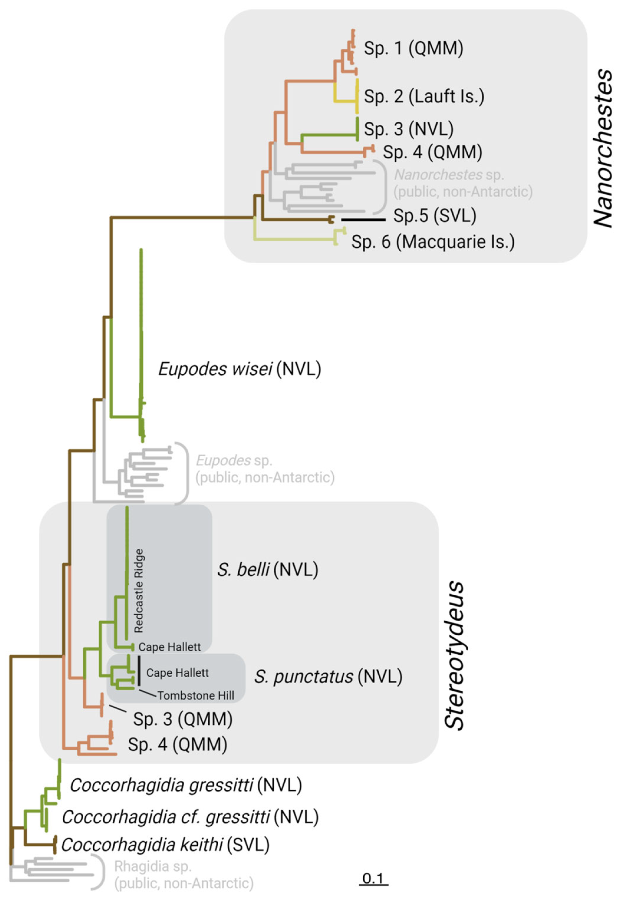 Preprints 68172 g002