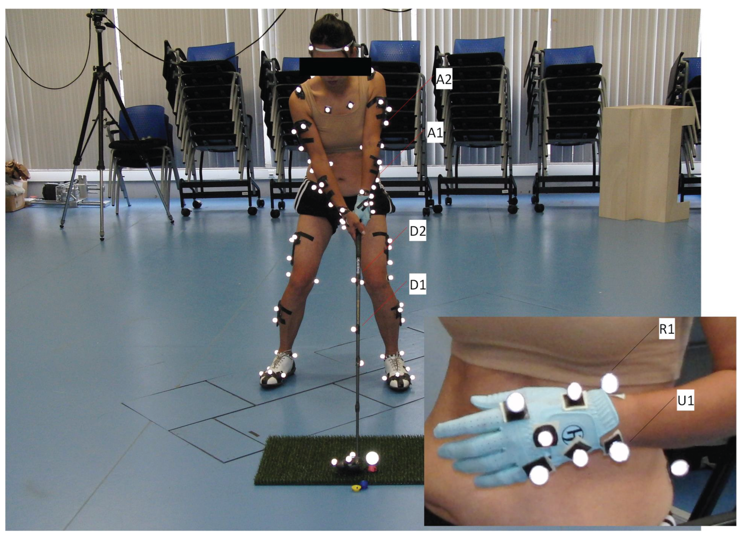 Preprints 166266 g002