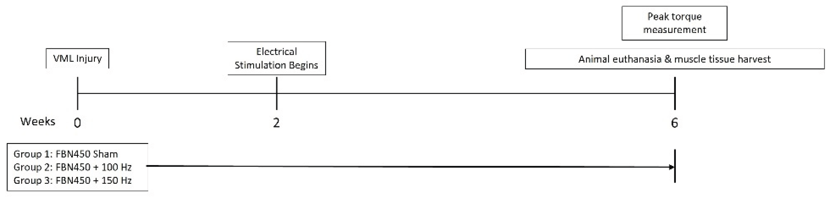 Preprints 192889 g001
