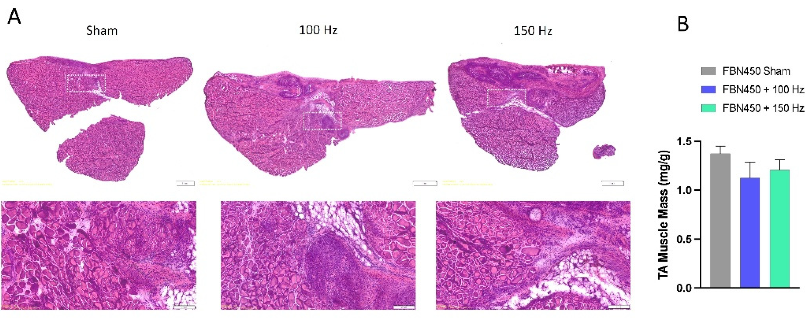 Preprints 192889 g002