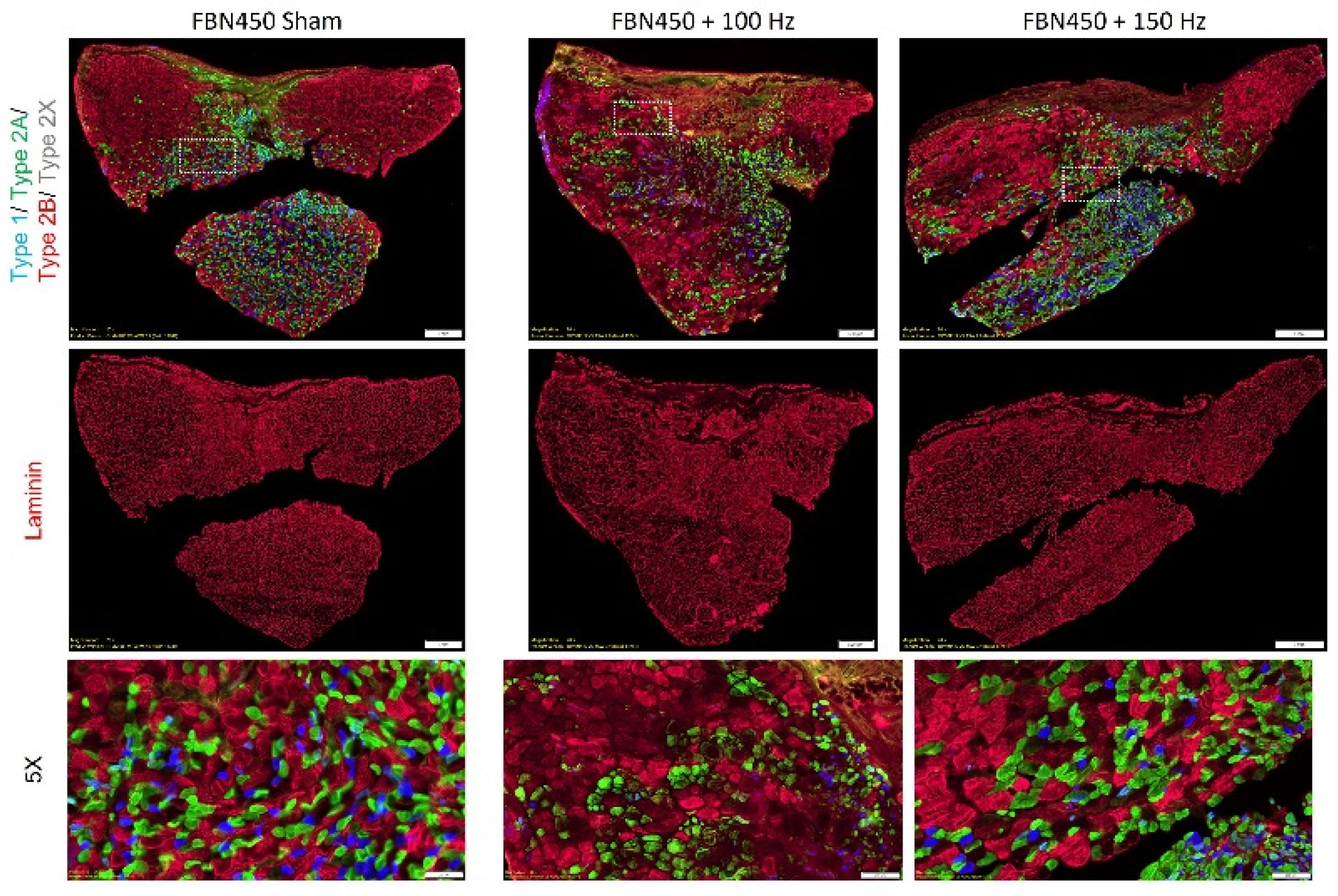 Preprints 192889 g004