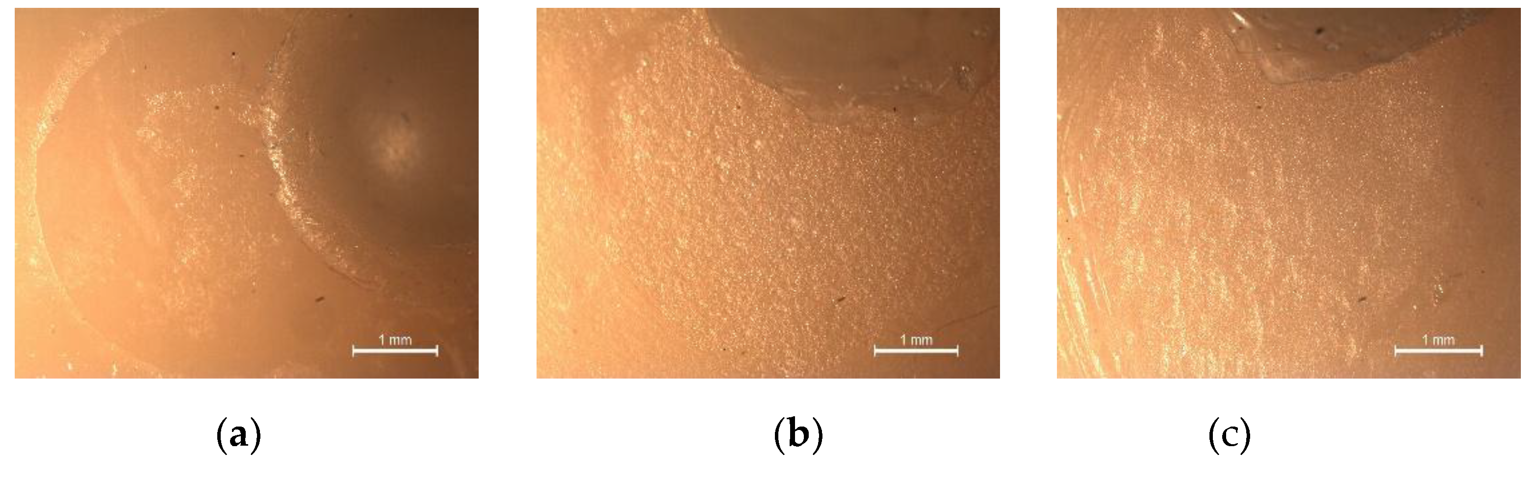 Preprints 179604 g004