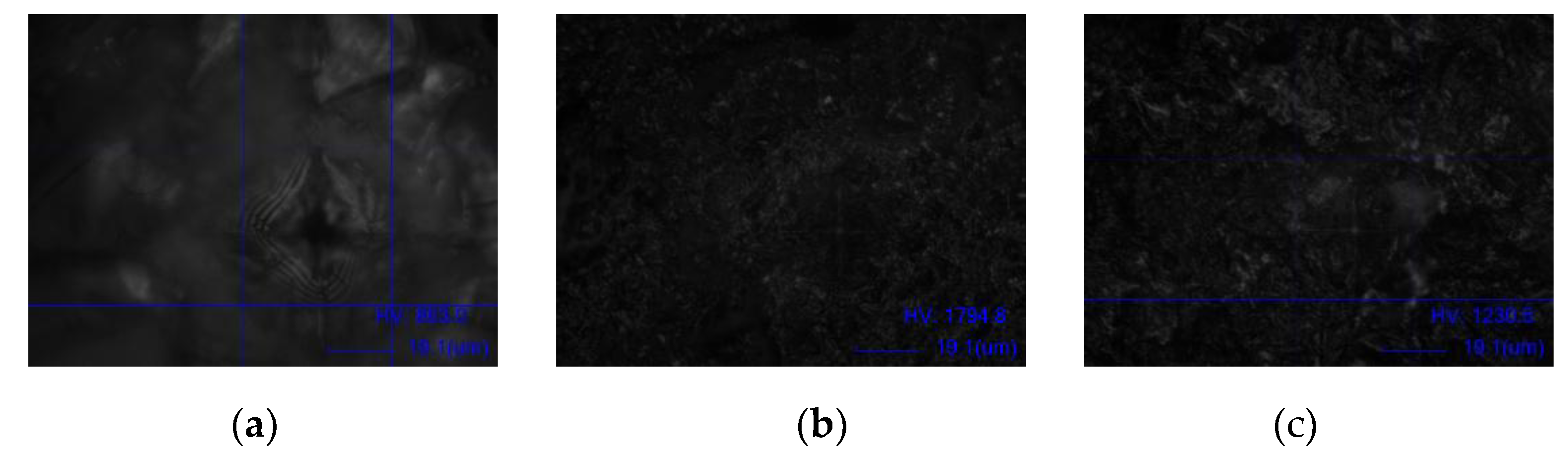 Preprints 179604 g005