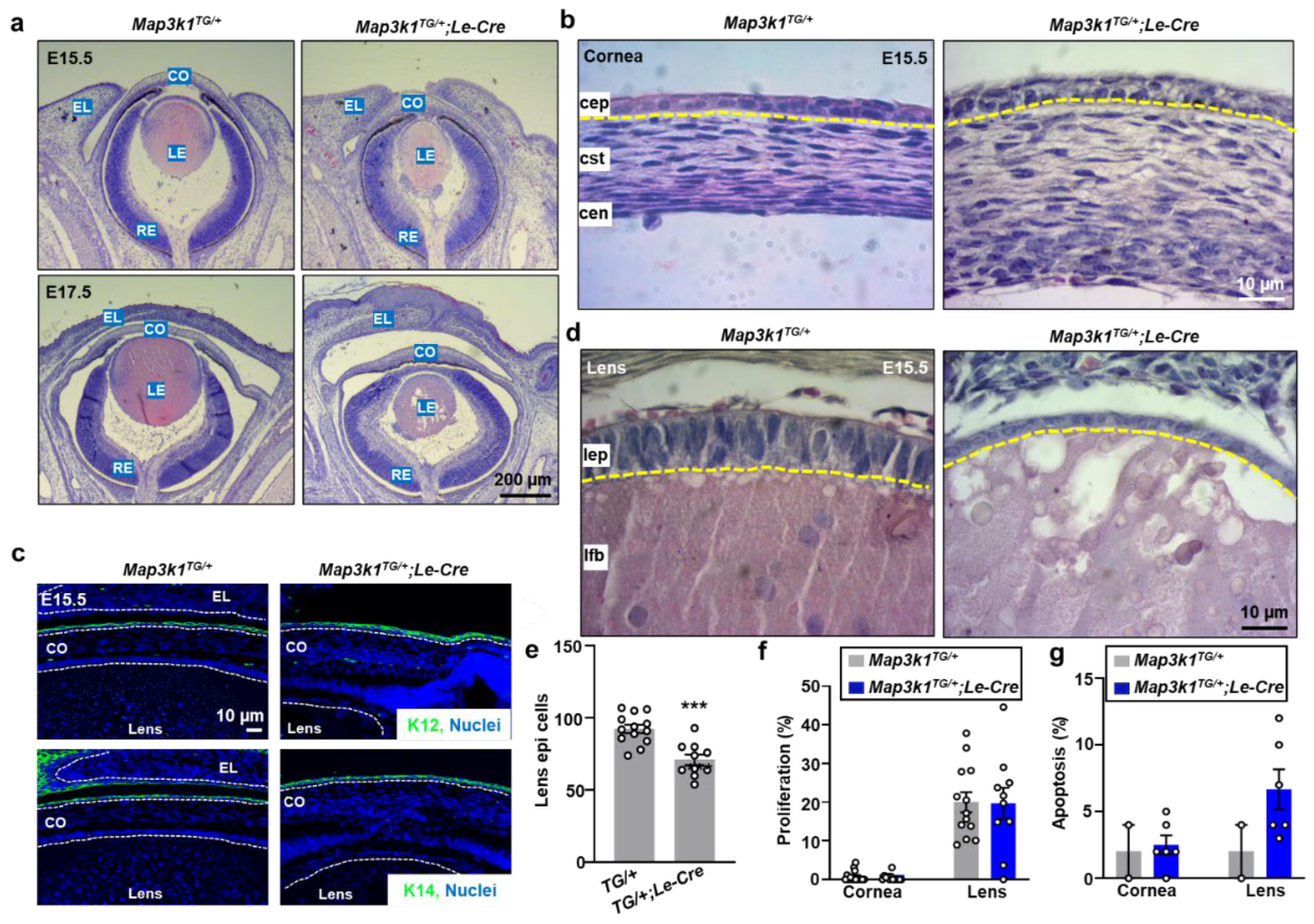 Preprints 158266 g002