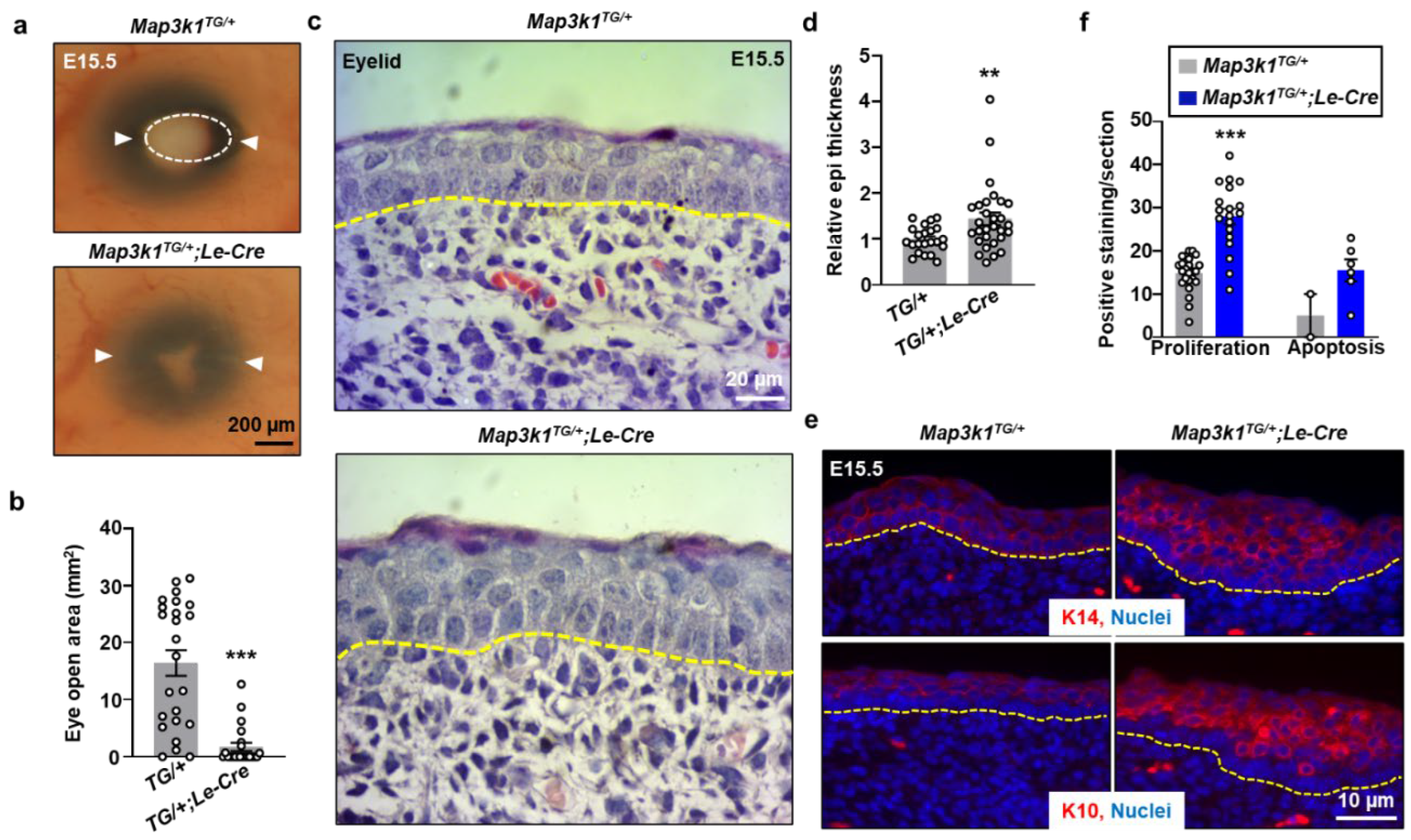 Preprints 158266 g003