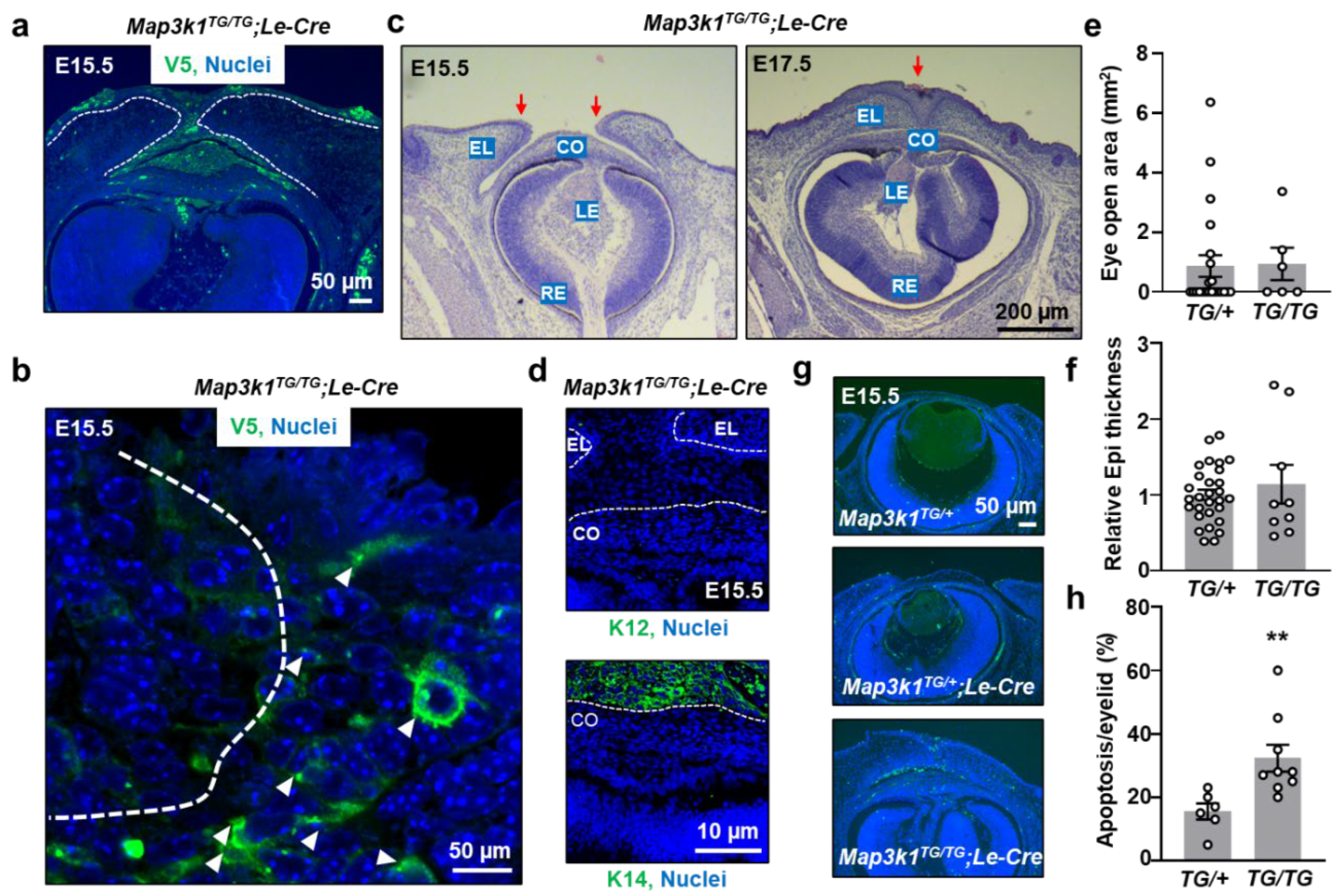 Preprints 158266 g004