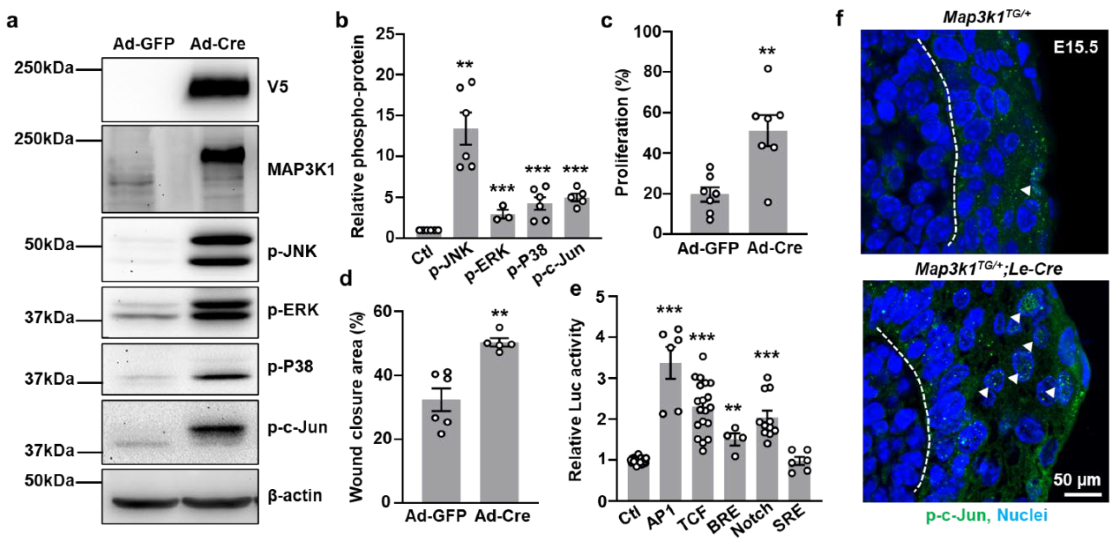 Preprints 158266 g006