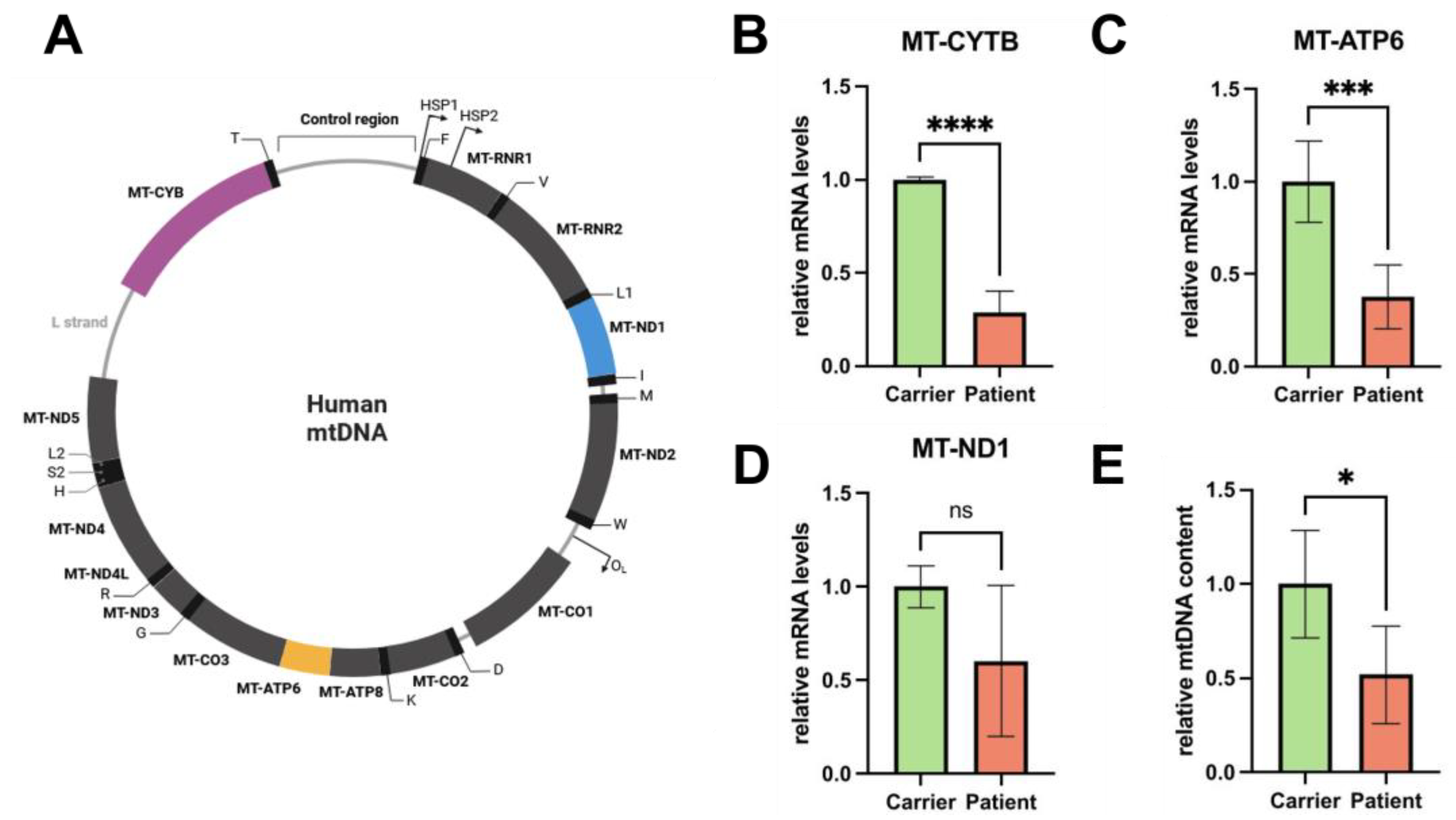 Preprints 140341 g002