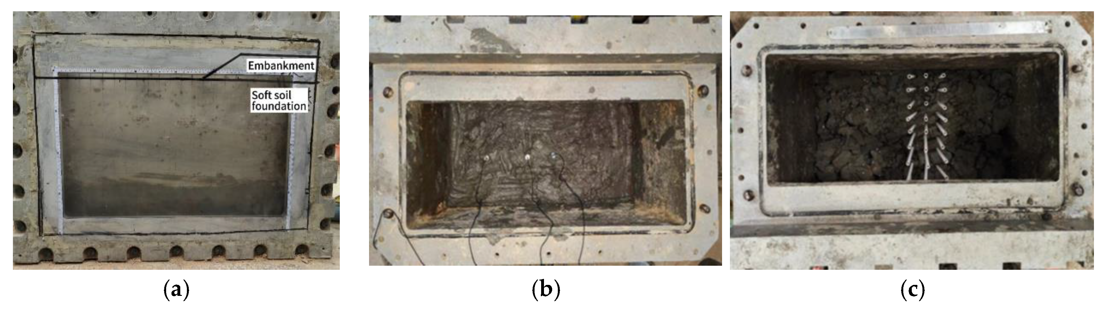 Preprints 145291 g003a