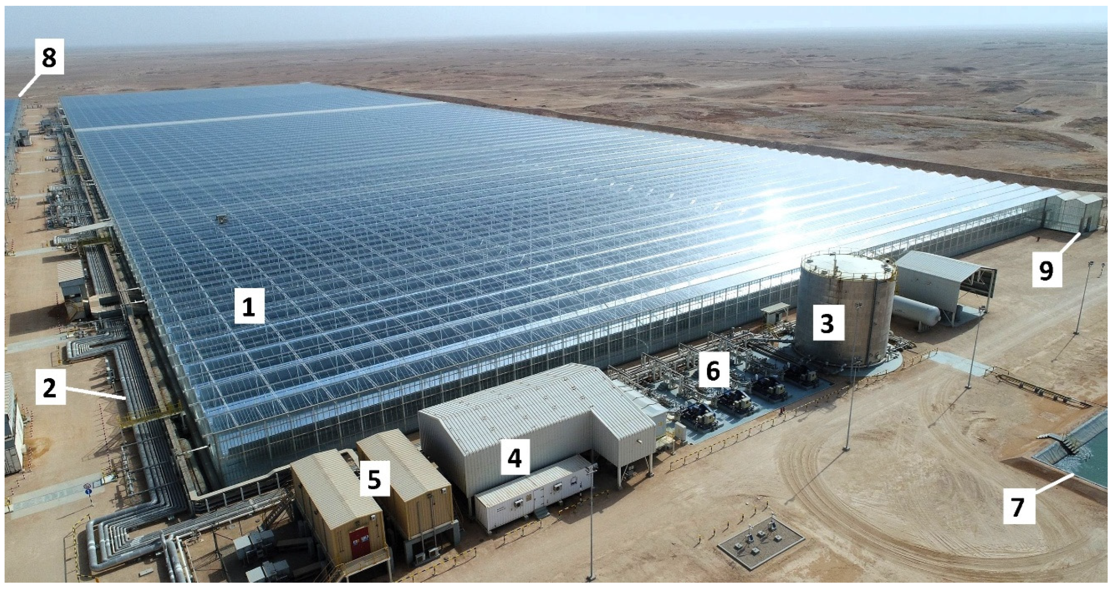 Preprints 183322 g011