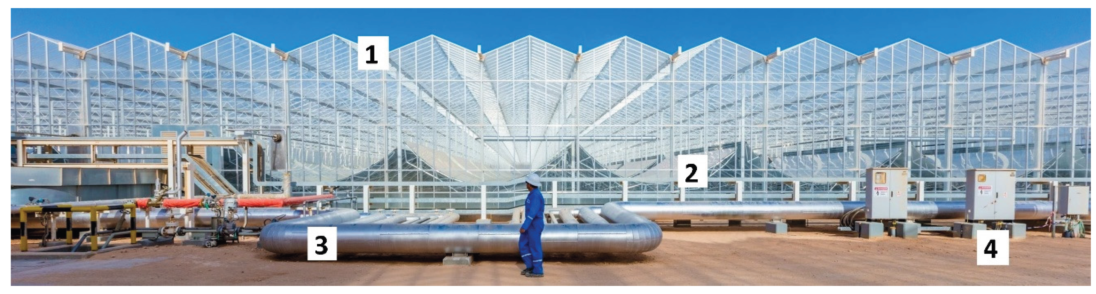 Preprints 183322 g012