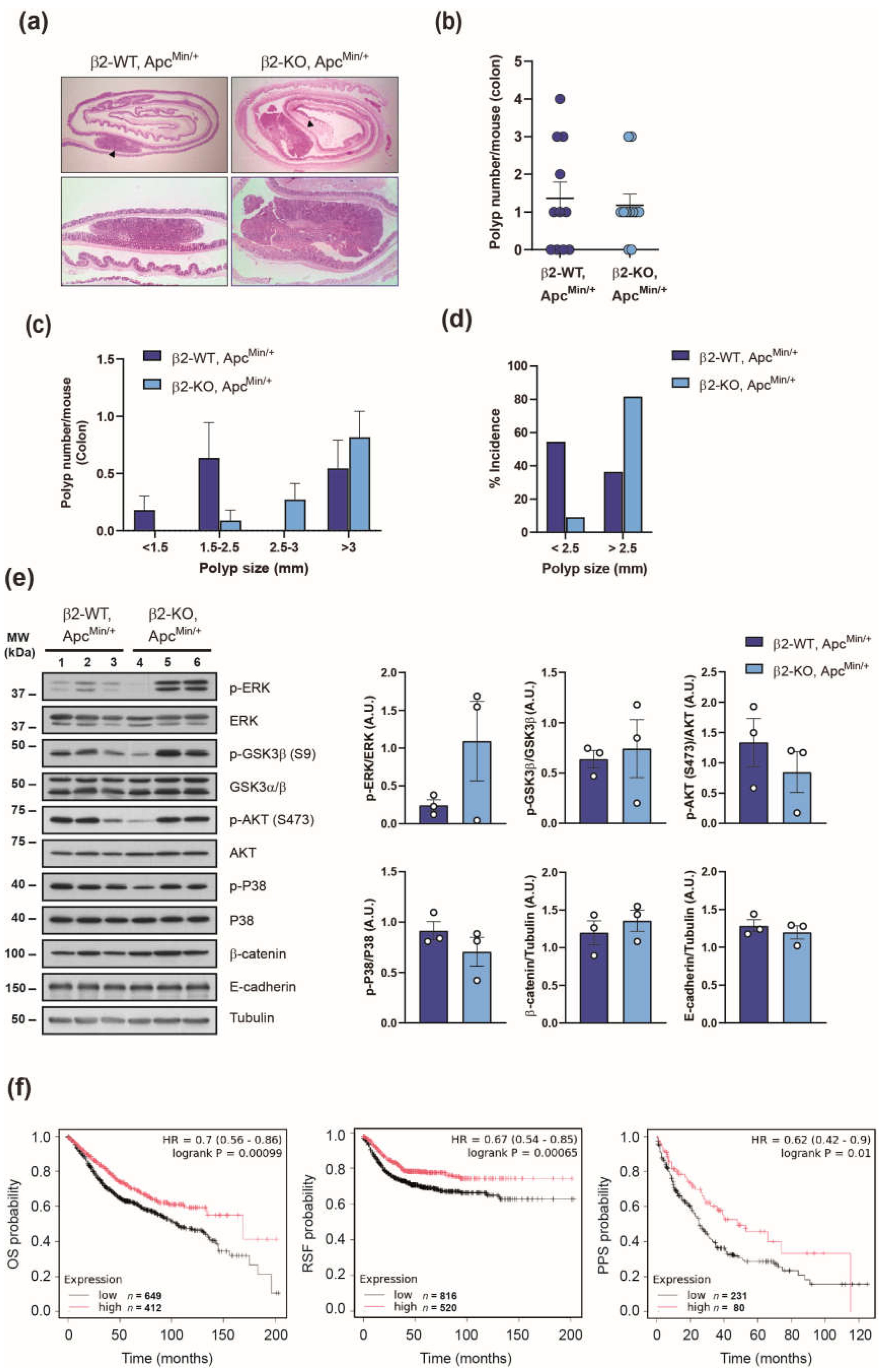 Preprints 144549 g002
