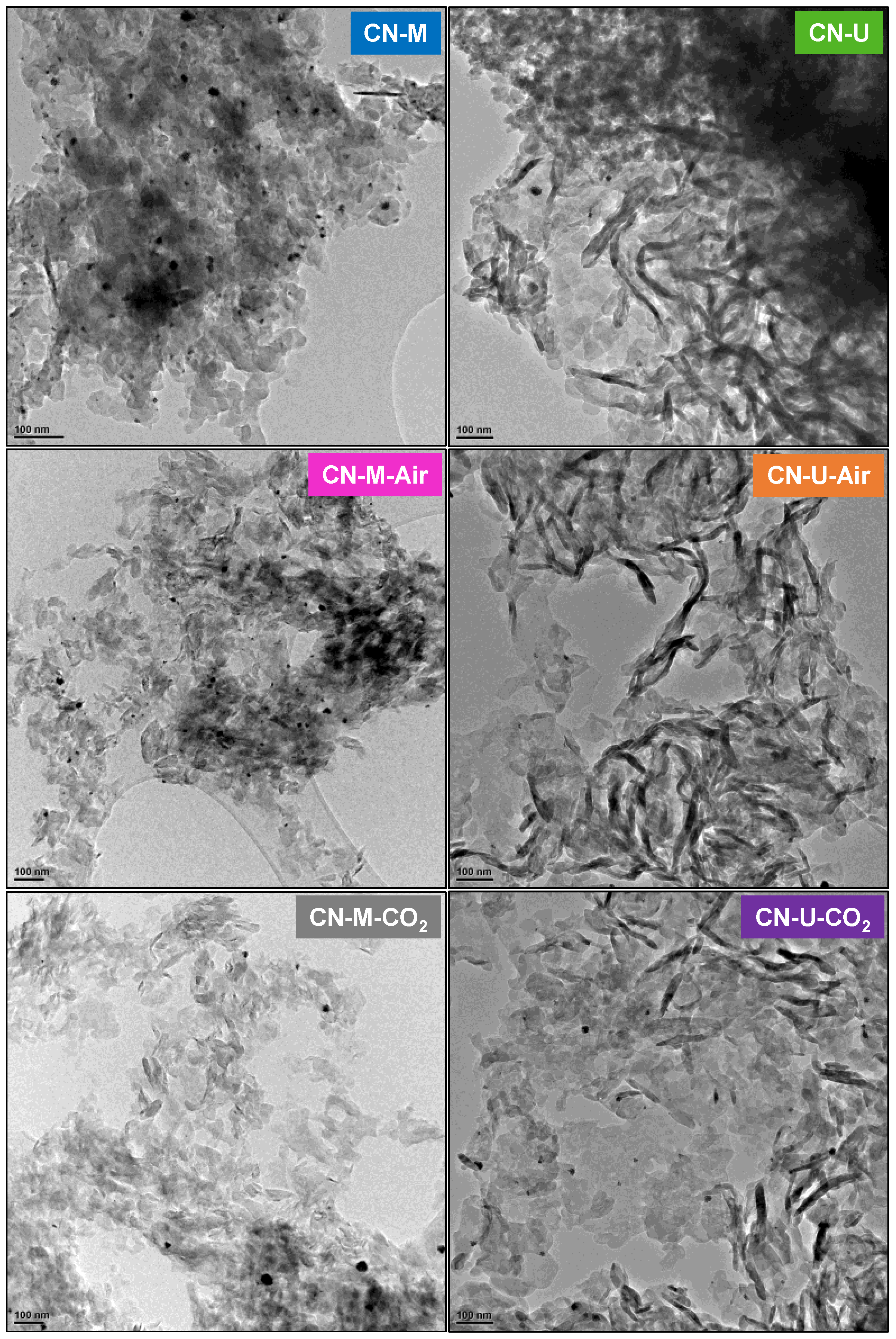 Preprints 194713 g009