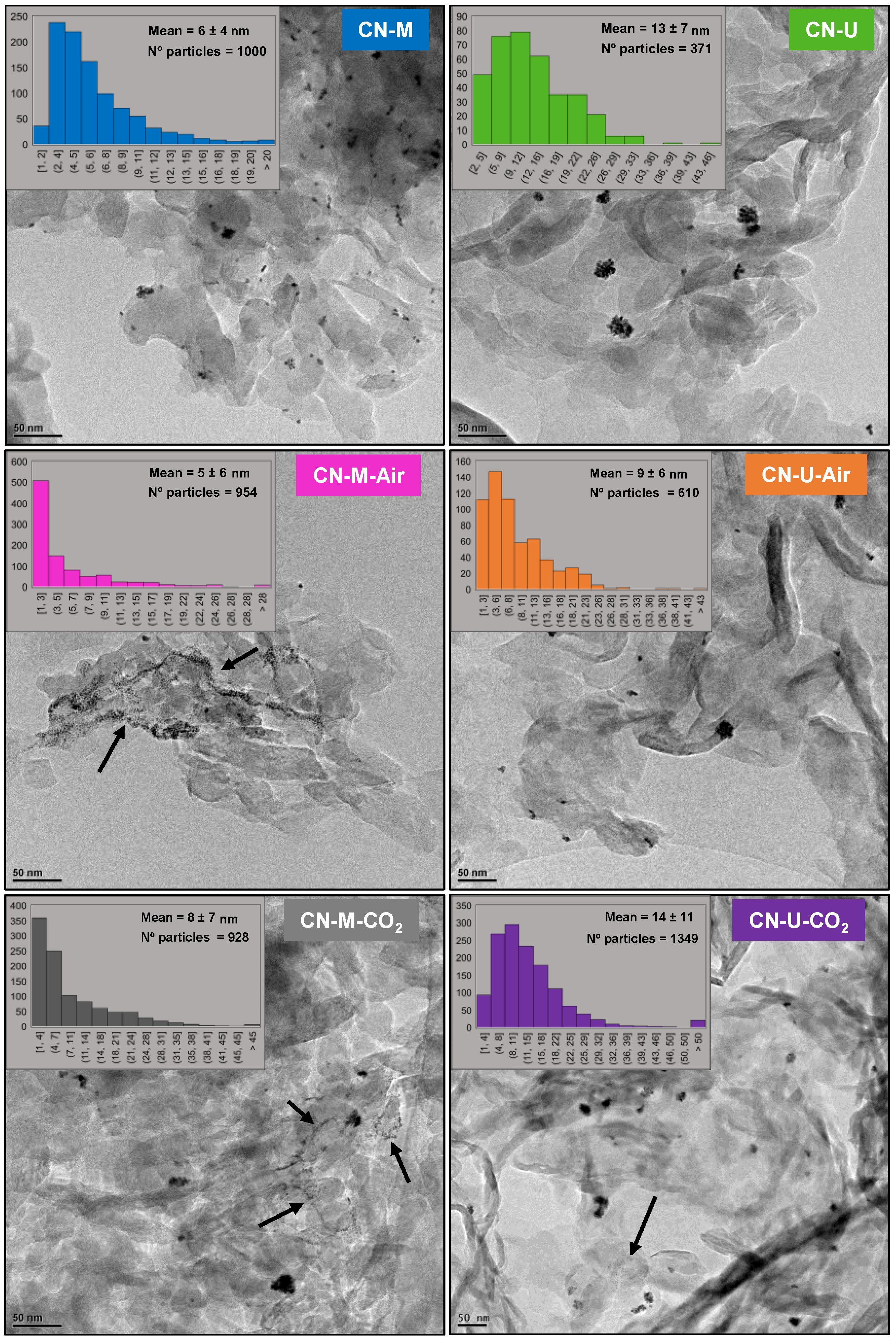Preprints 194713 g010