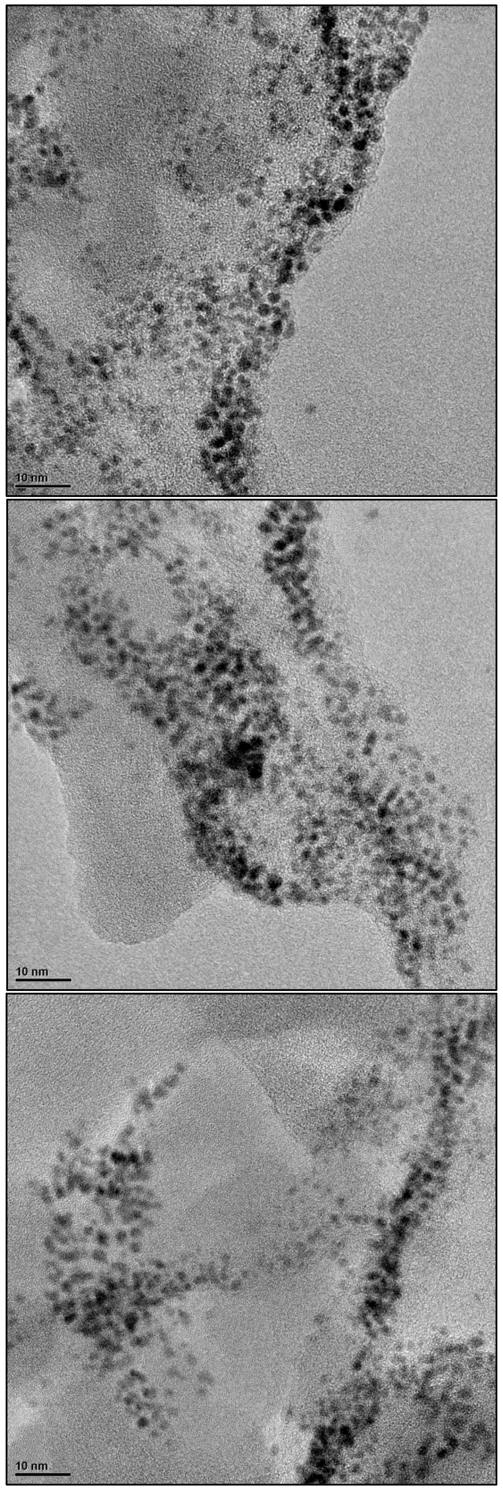 Preprints 194713 g0a6