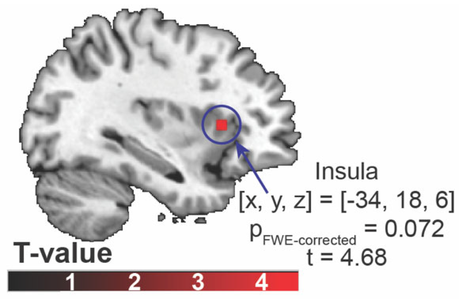 Preprints 173363 g003