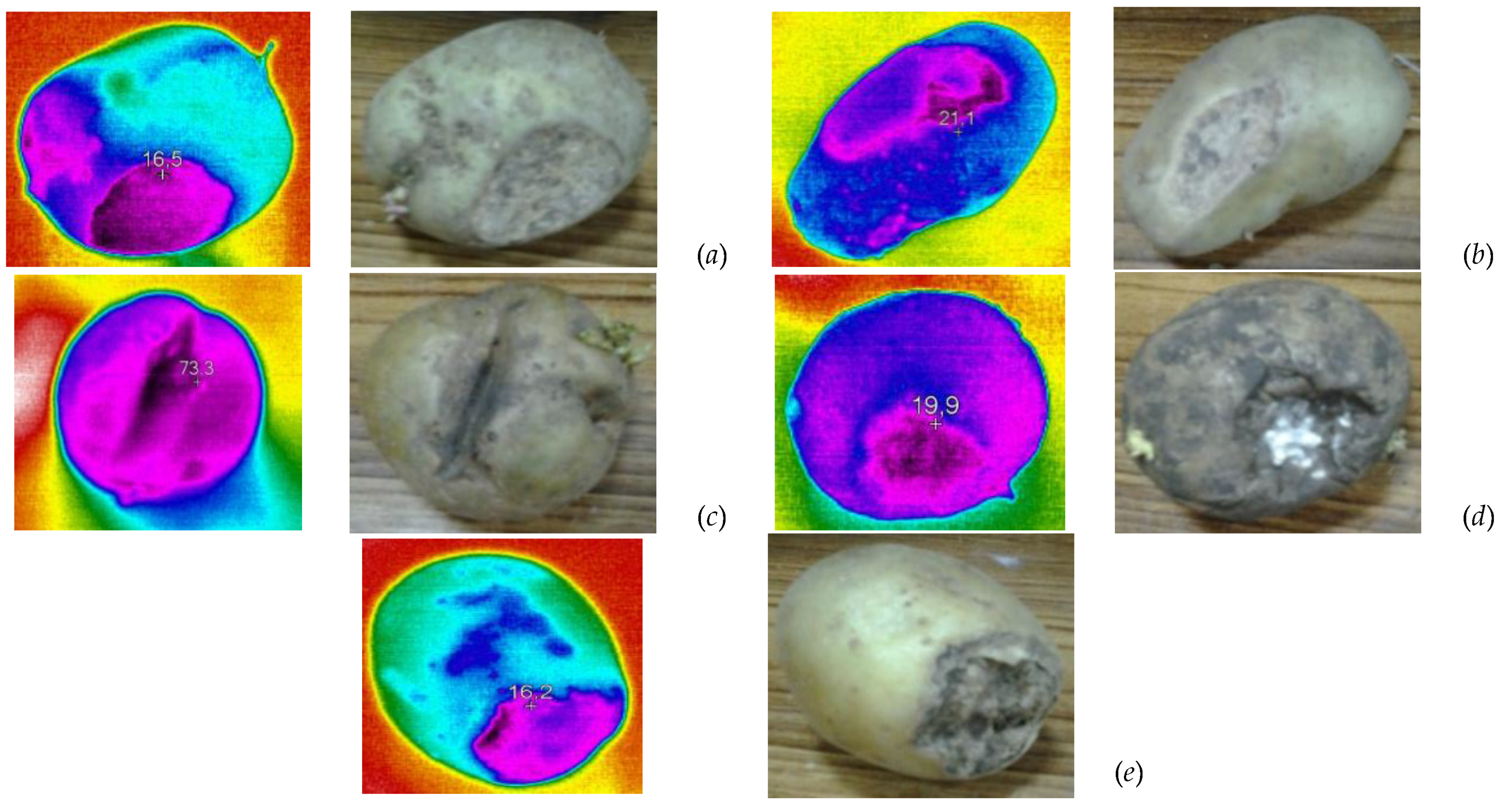 Preprints 109023 g005