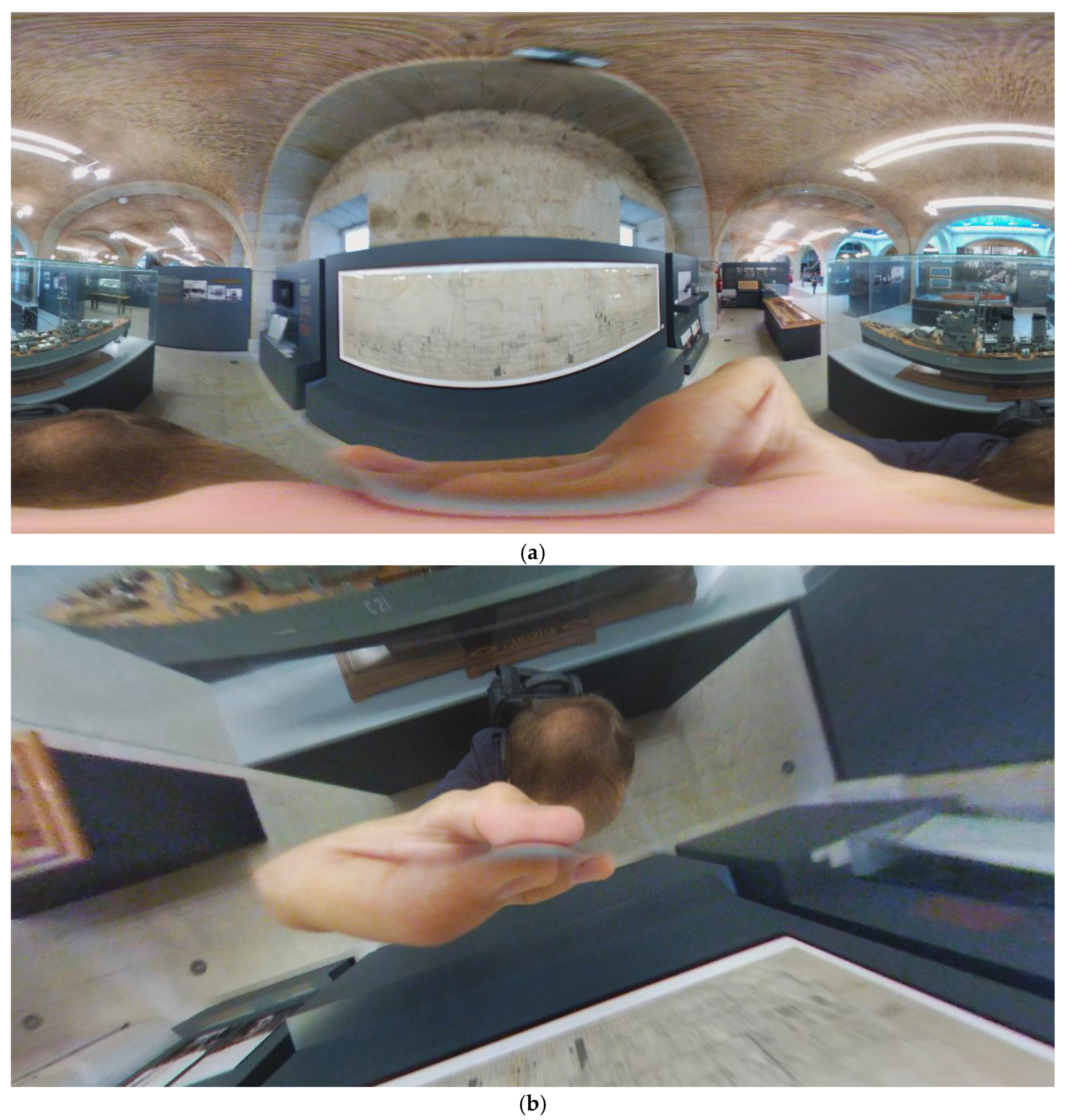 Preprints 161055 g002