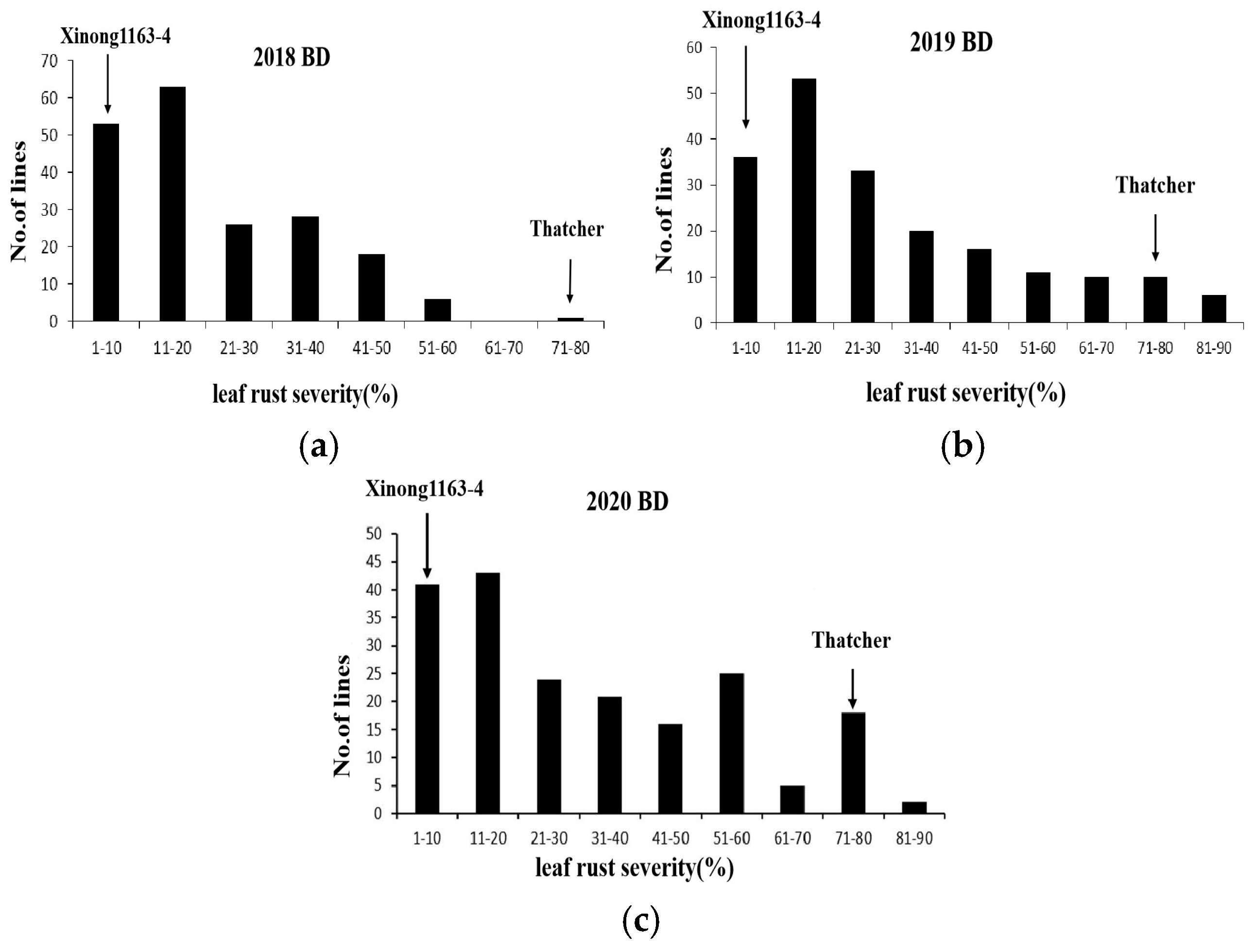 Preprints 158795 g001