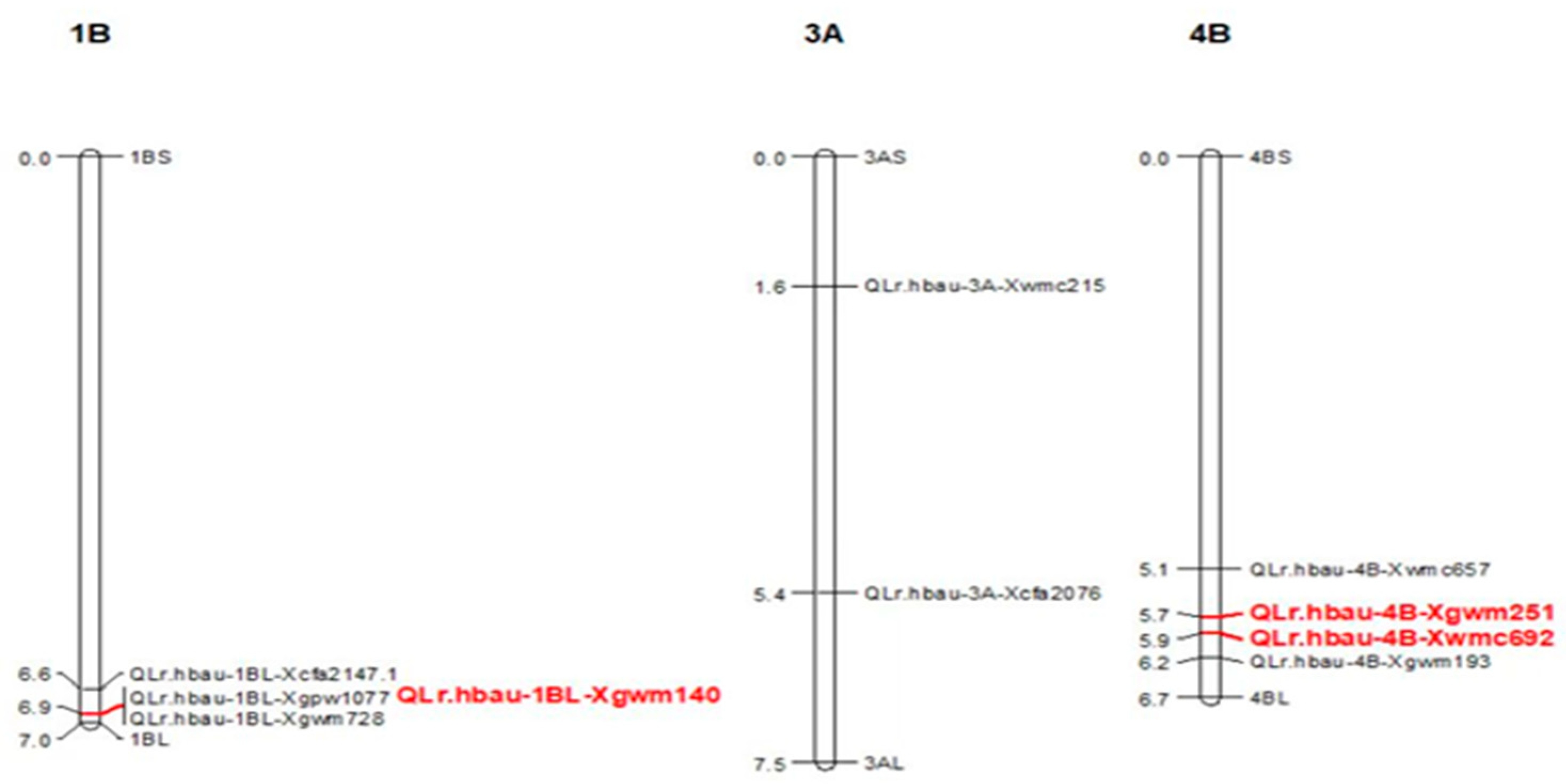 Preprints 158795 g003