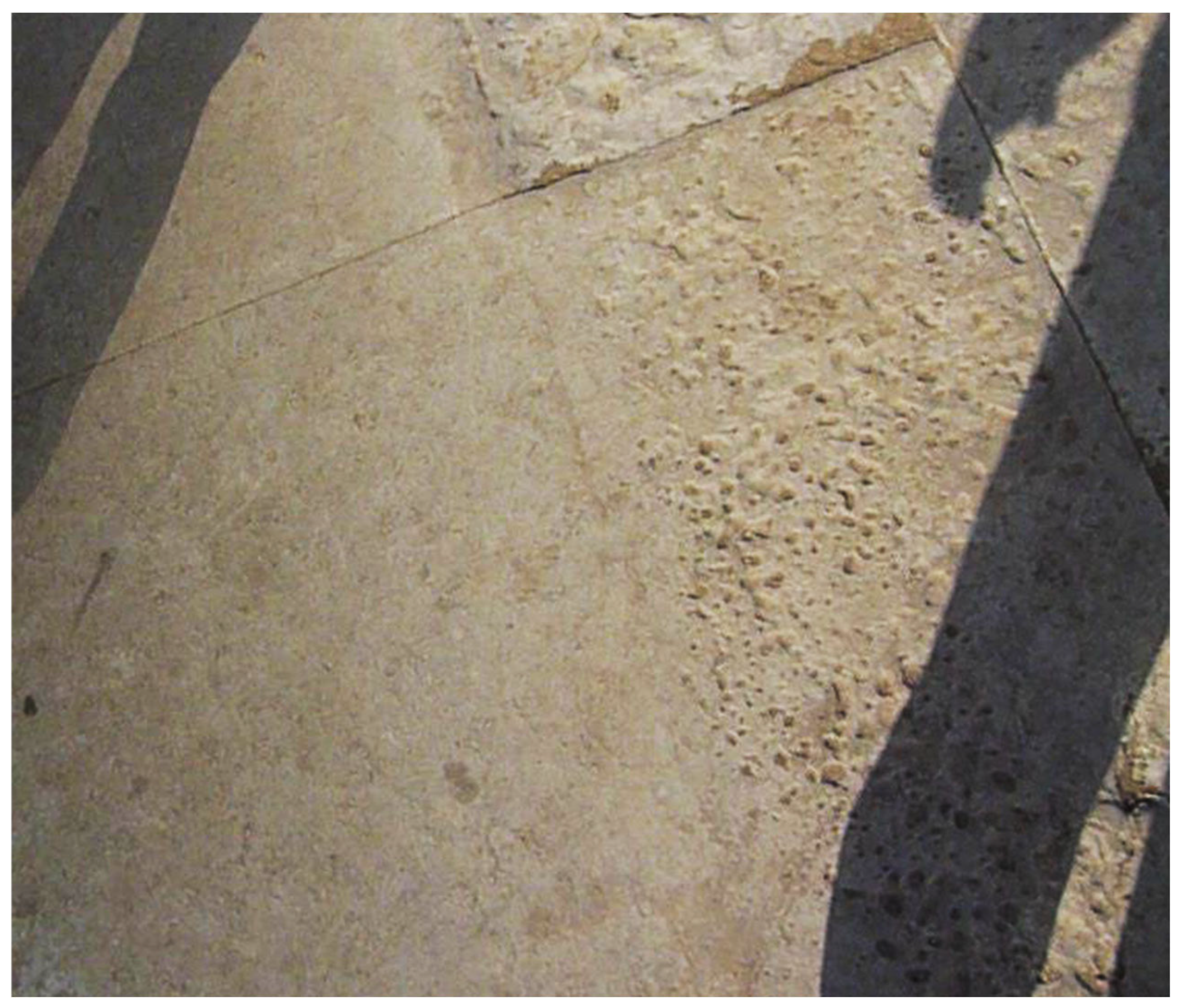 Preprints 193793 g005