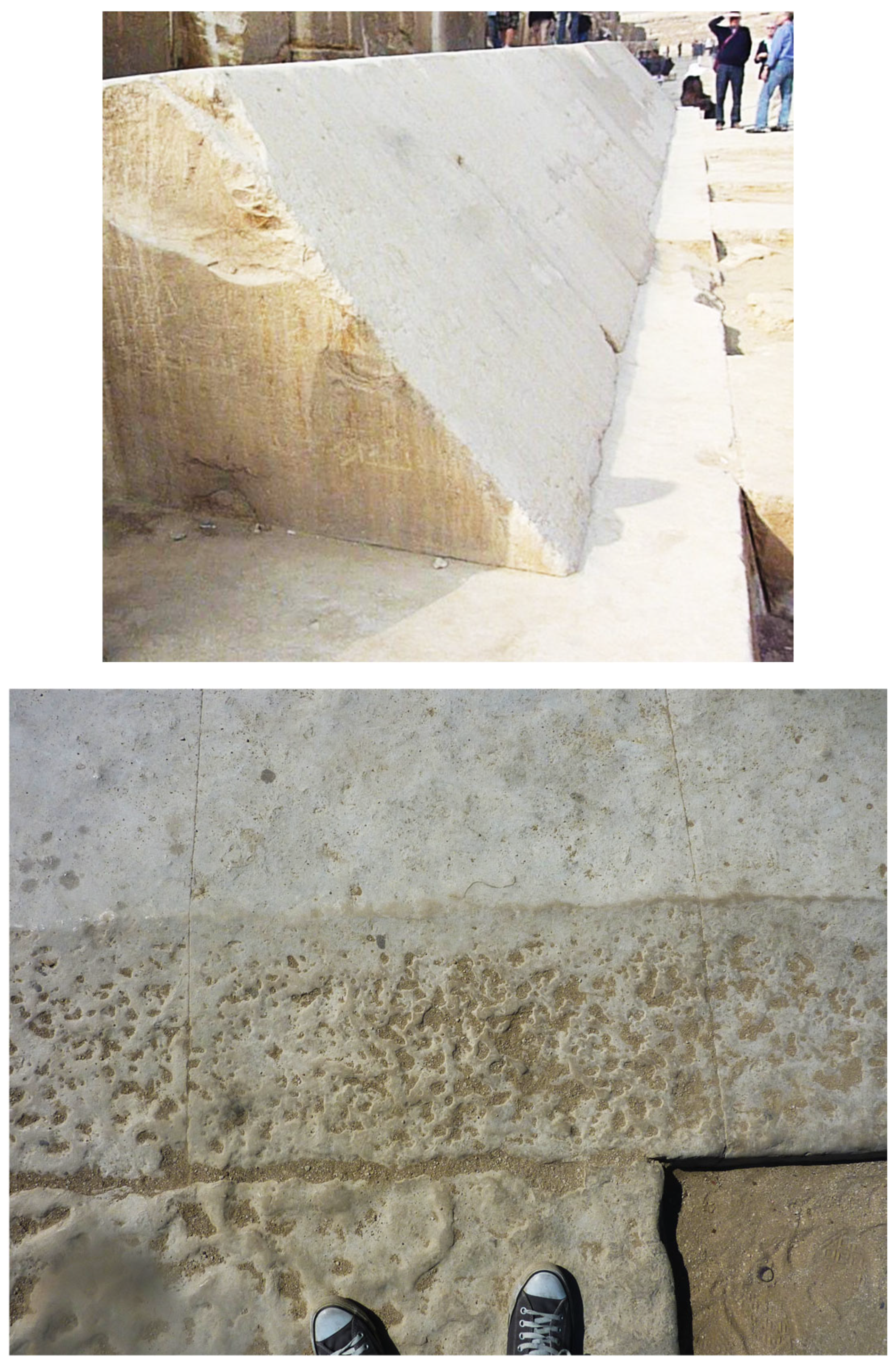 Preprints 193793 g008