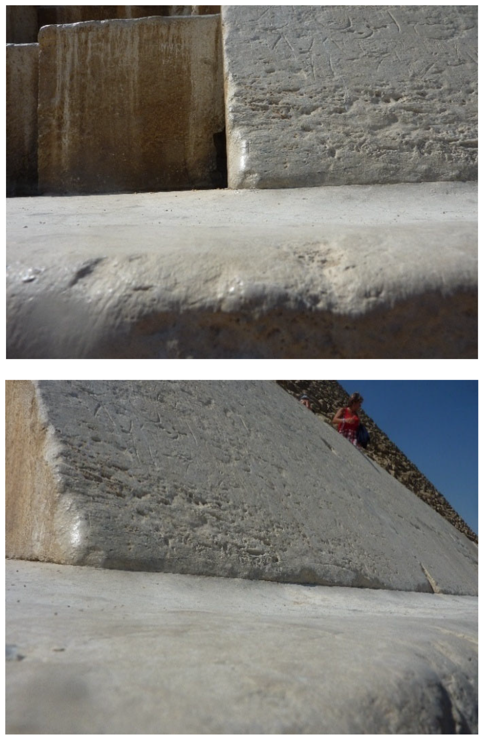 Preprints 193793 g011