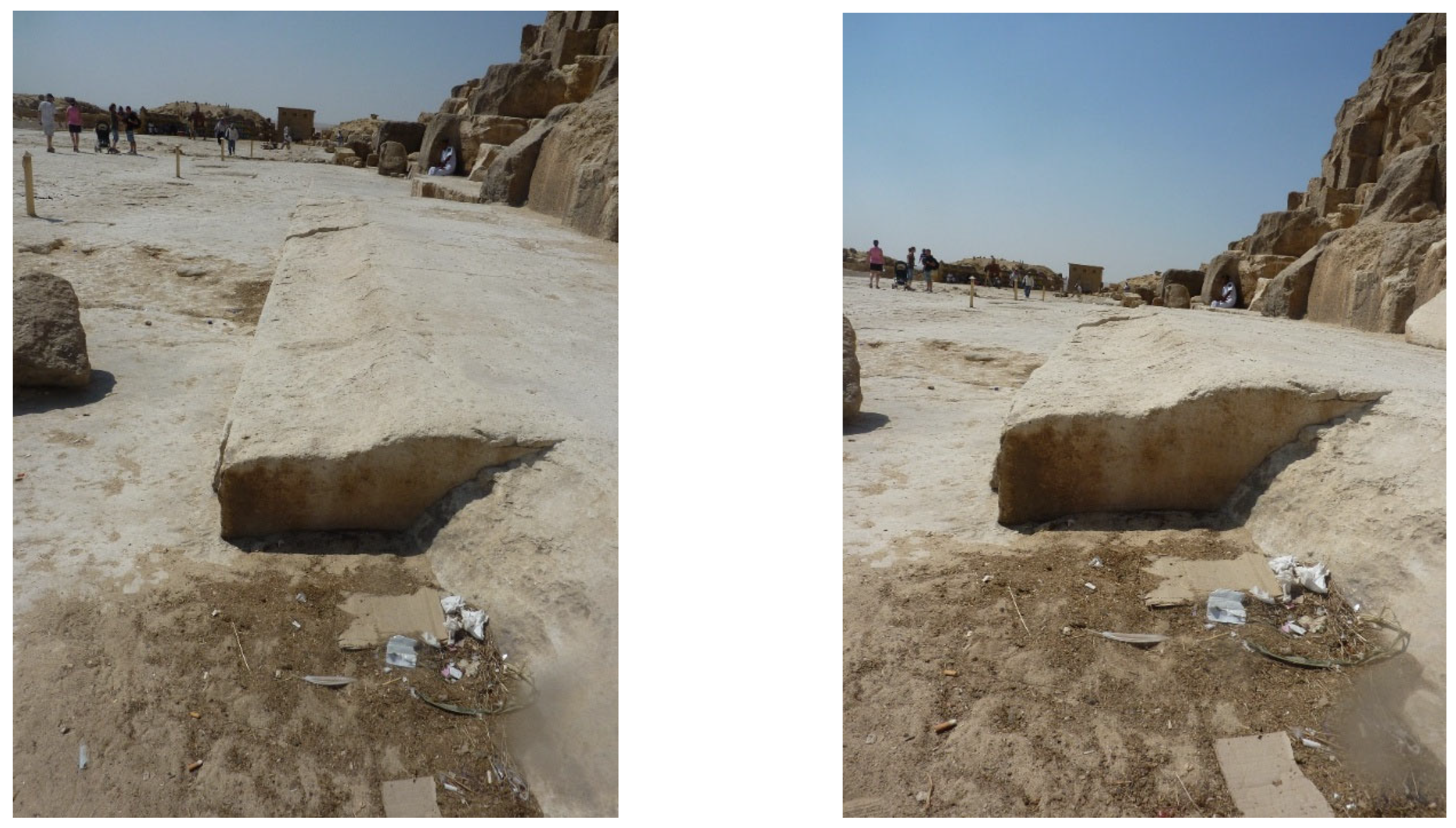 Preprints 193793 g015