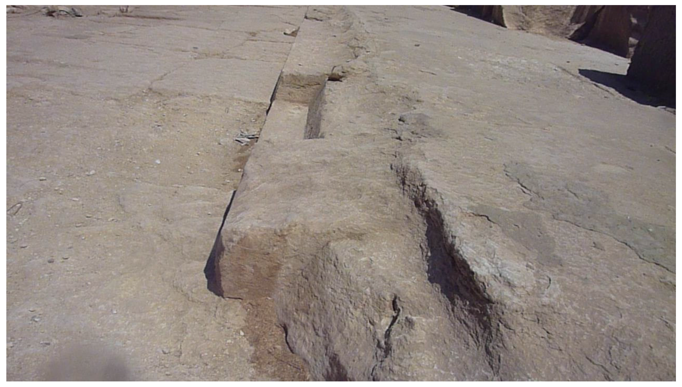 Preprints 193793 g017